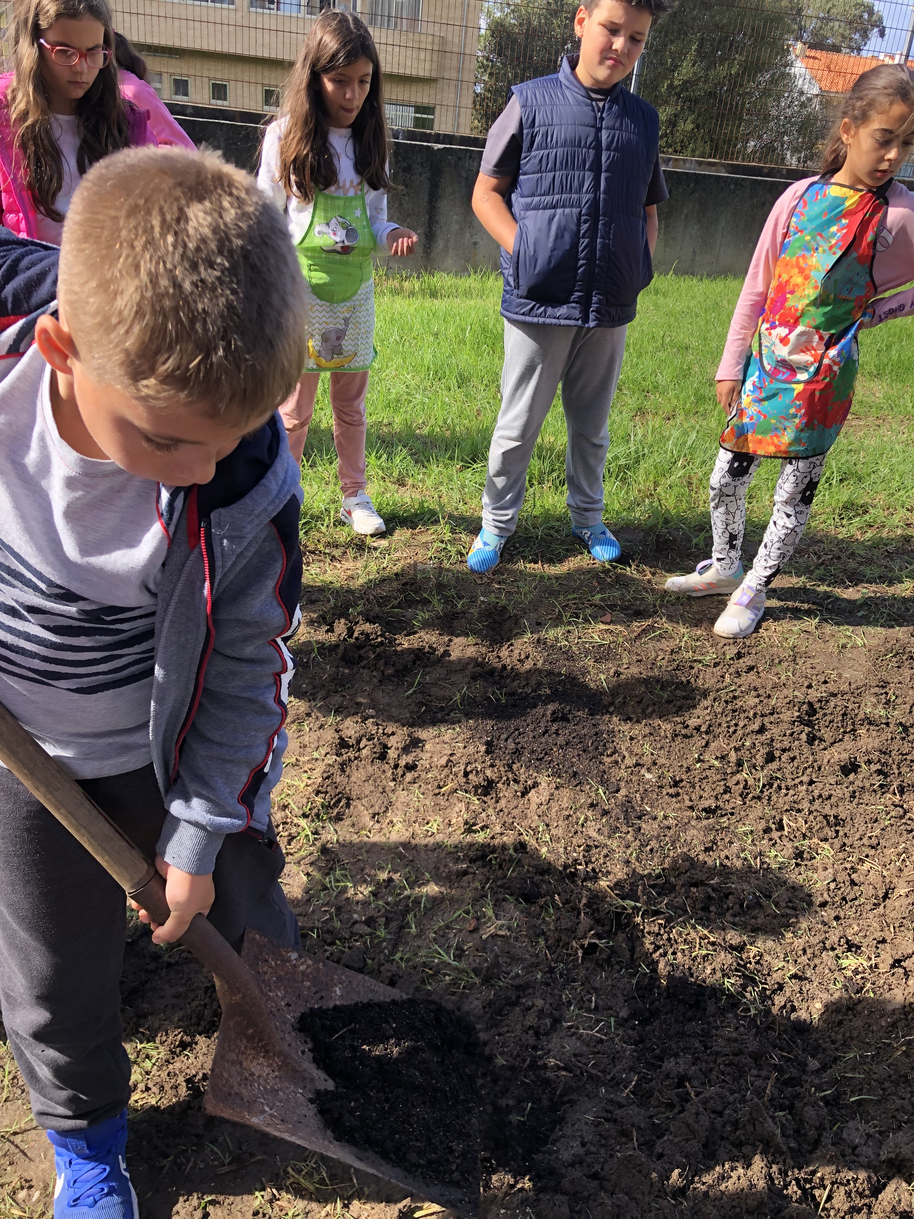 Os alunos espalham o composto no solo, de modo a torná-lo mais fértil.