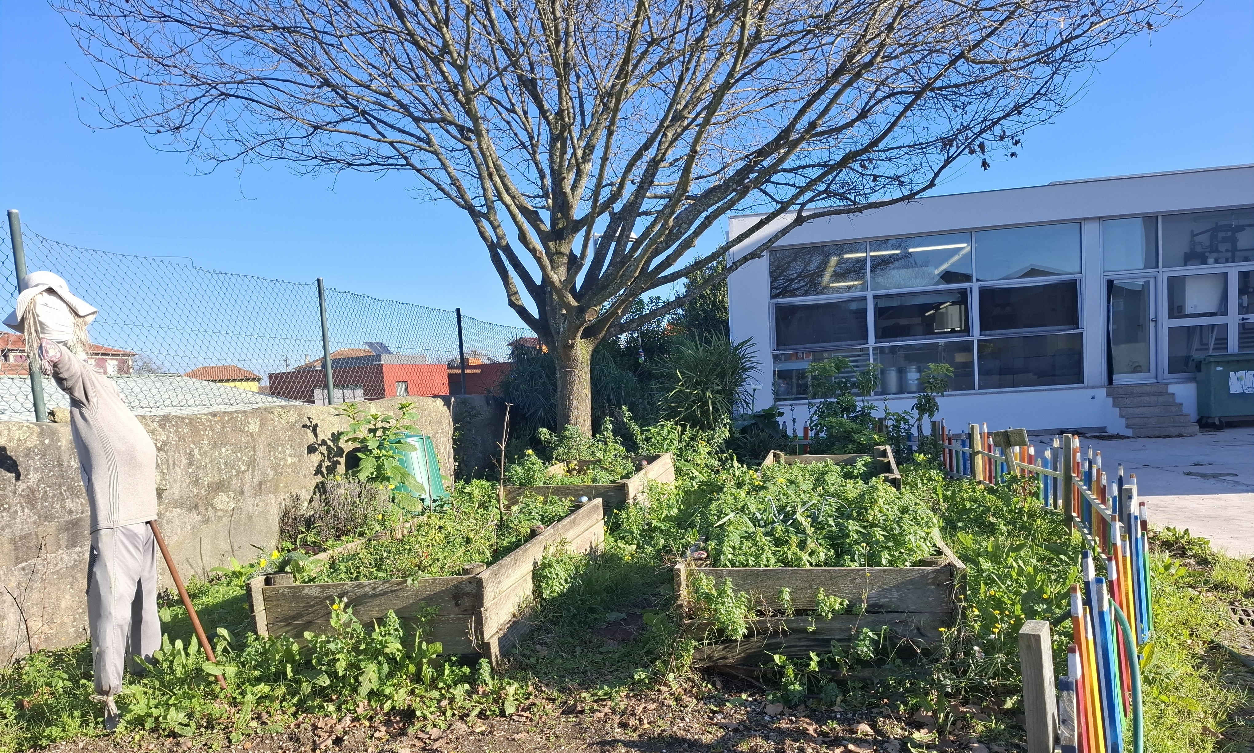 As caixas destinadas à plantação encontram-se deterioradas, pelo que foi solicitada a intervenção da Câmara Municipal de Matosinhos (CMM). As mesmas estão repletas de ervas daninhas.