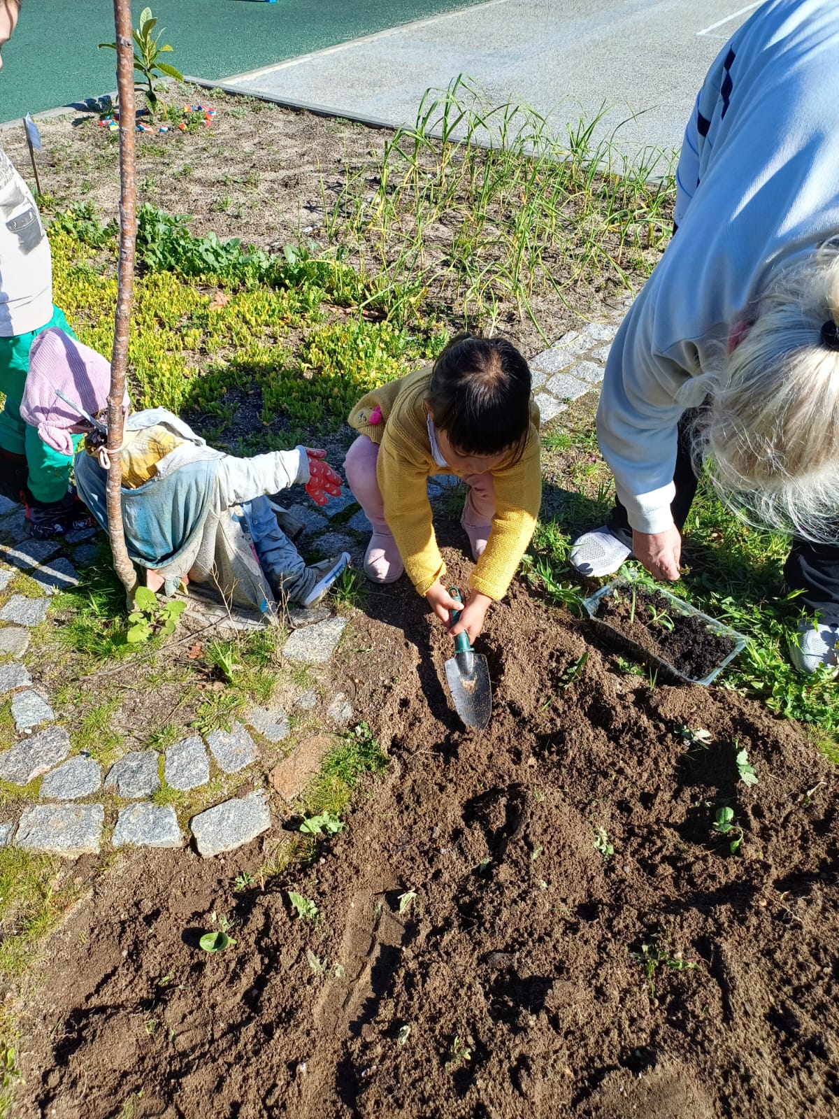 Título: Transplante de Feijão: Cultivando a Vida na Minha Mão
Descrição: Nesta atividade, as crianças aprenderam como fazer o transplante de feijão, acompanhando o crescimento da planta desde a semente até o solo. É uma oportunidade divertida de entender