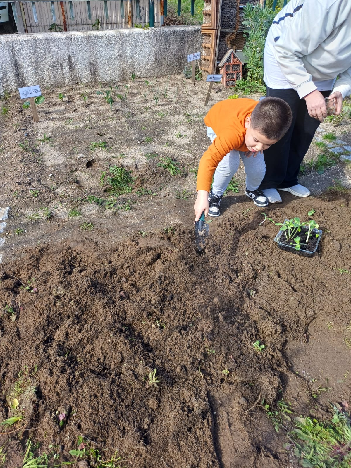 Título: Transplante de Feijão: Cultivando a Vida na Sua Mão

Descrição: Nessa atividade, as crianças  aprenderam como fazer o transplante de feijão, acompanhando o crescimento da planta desde a semente até o solo.