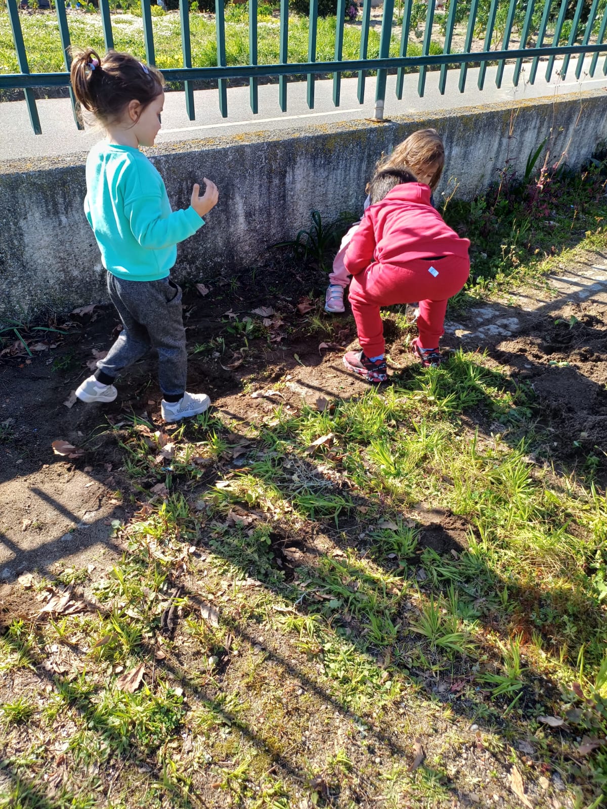 Título: "Mãos à Obra: Cuidando da Nossa Horta com Amor"
Descrição: Nesta atividade, as crianças aprenderam a manter a horta limpa e organizada, removendo ervas daninhas e cuidando do espaço, incentivando a participação ativa e o amor pela natureza.