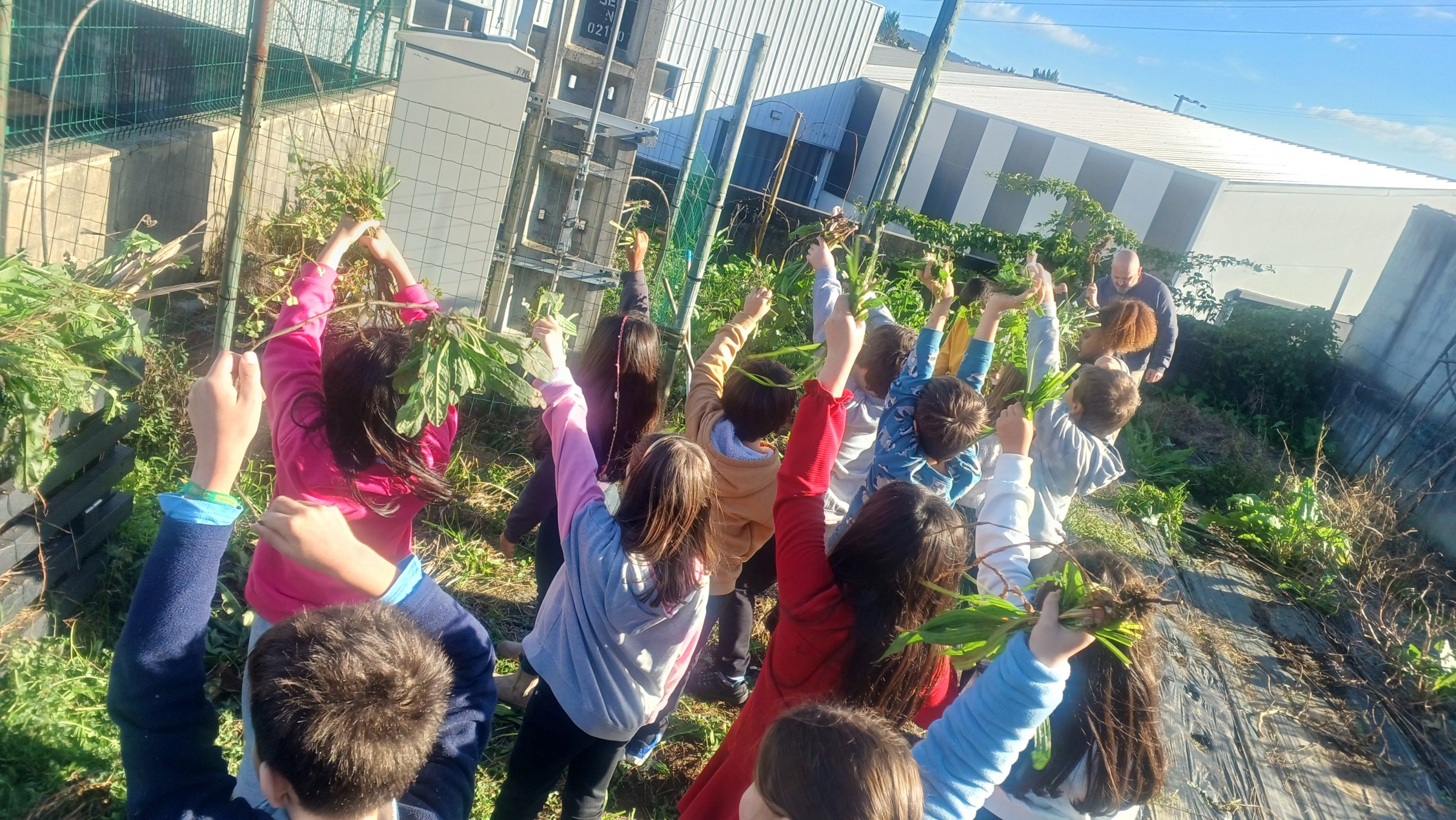 Alunos colocando as ervas no compostor.