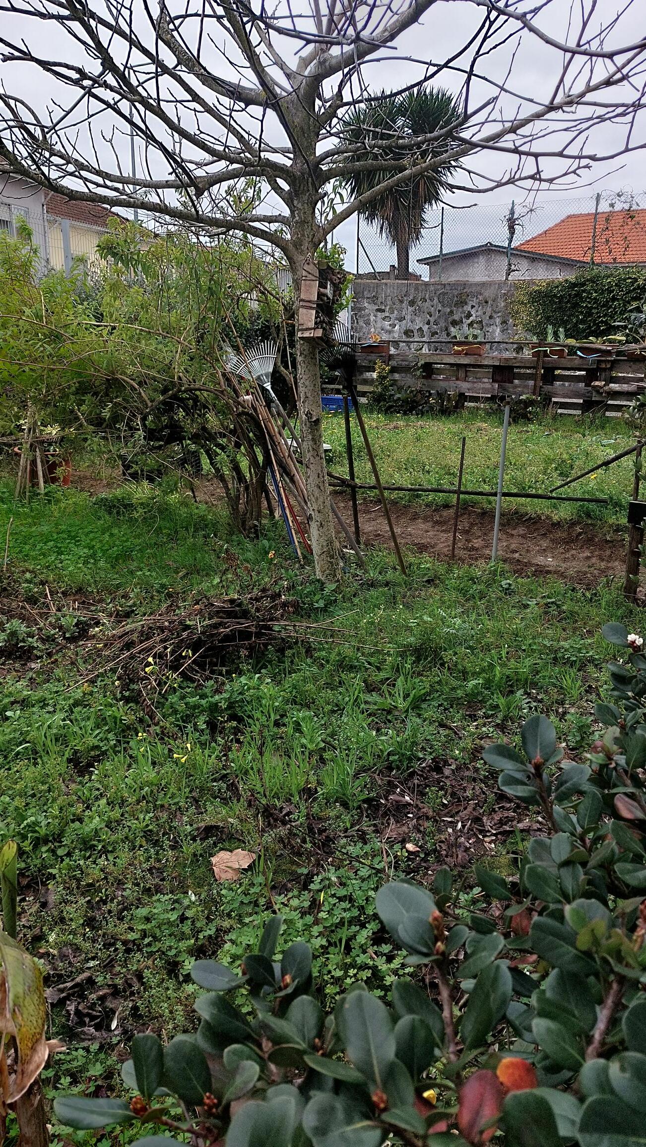 Primeira etapa: revolver a terra, tirar as ervas. 
Desenvolvida com o envolvimento da comunidade escolar
Fevereiro 2025