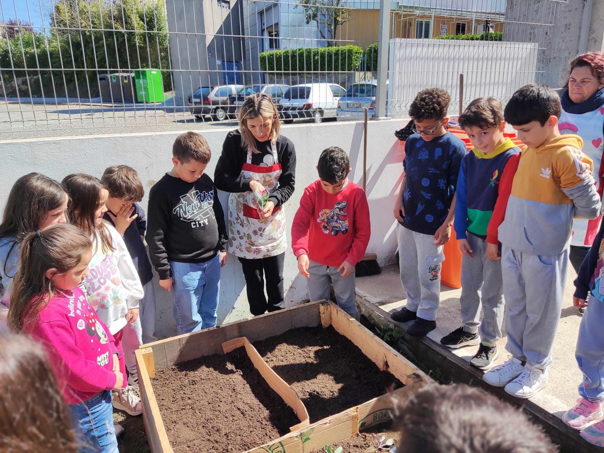 Semear - participação dos alunos (1 lote por turma).