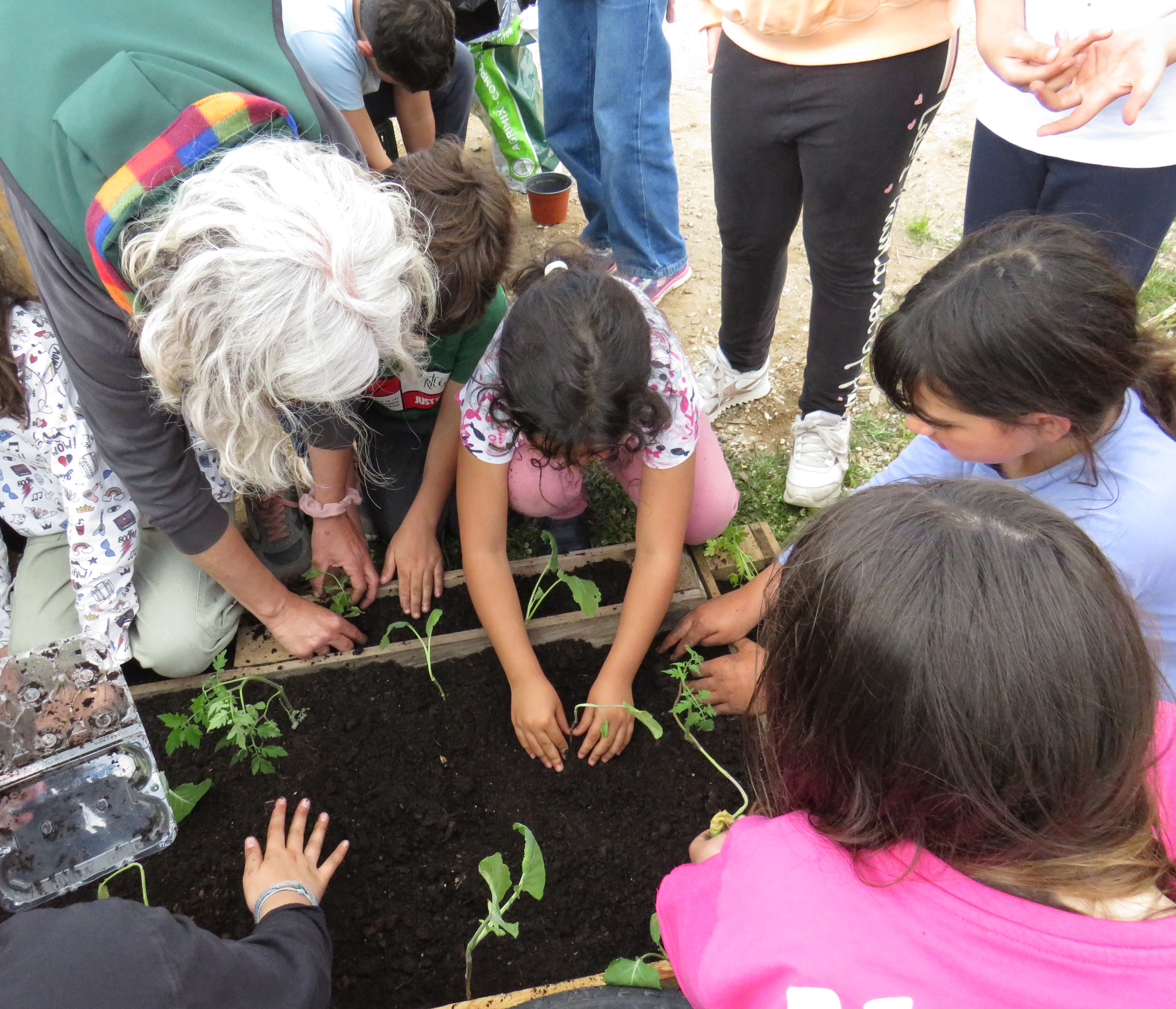 PREPARAÇÃO E CONSTRUÇÃO
Preparação do espaço destinado para a Horta e do terreno com colocação da terra, sementes e plantas, procurando a diversidade apesar do espaço reduzido.