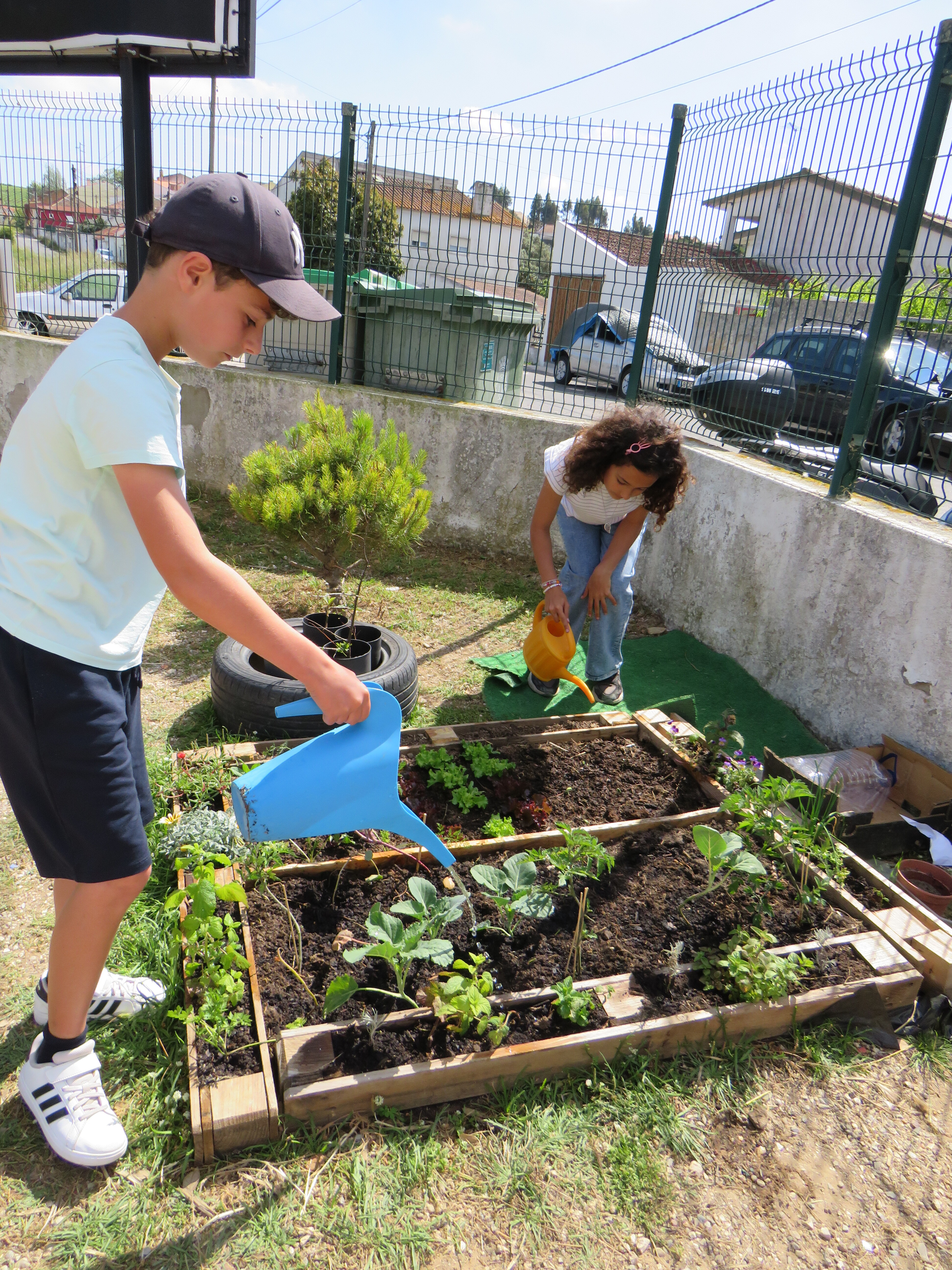 MANUTENÇÃO
Os alunos semearam, plantaram e regaram alargando os conhecimentos nesta área e percebendo a necessidade de proteger e cuidar das plantas para o seu bom desenvolvimento. Com entusiasmo participaram ativamente.