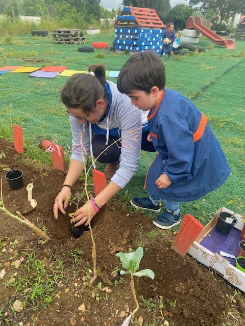uma mãe a ajudar a plantar tomates