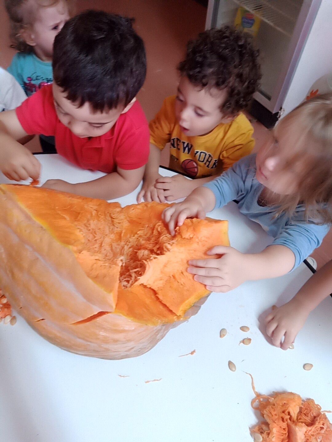 UTILIZAMOS  A BOBORA PARA FAZER DOCE