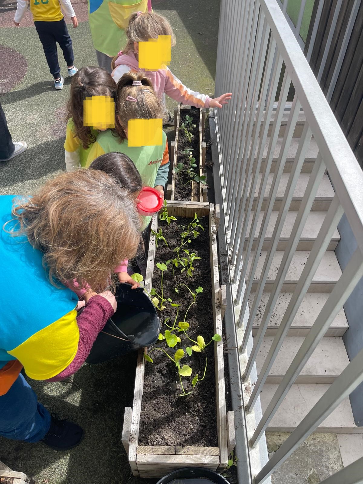 Rega dos pimentos e da curgete.
Após a plantação dos pimentos e da curgete as crianças sabiam que tinham de regar as plantas com o recurso da água da chuva recolhida.  A educadora exemplificou e auxiliou as crianças na rega das plantas.