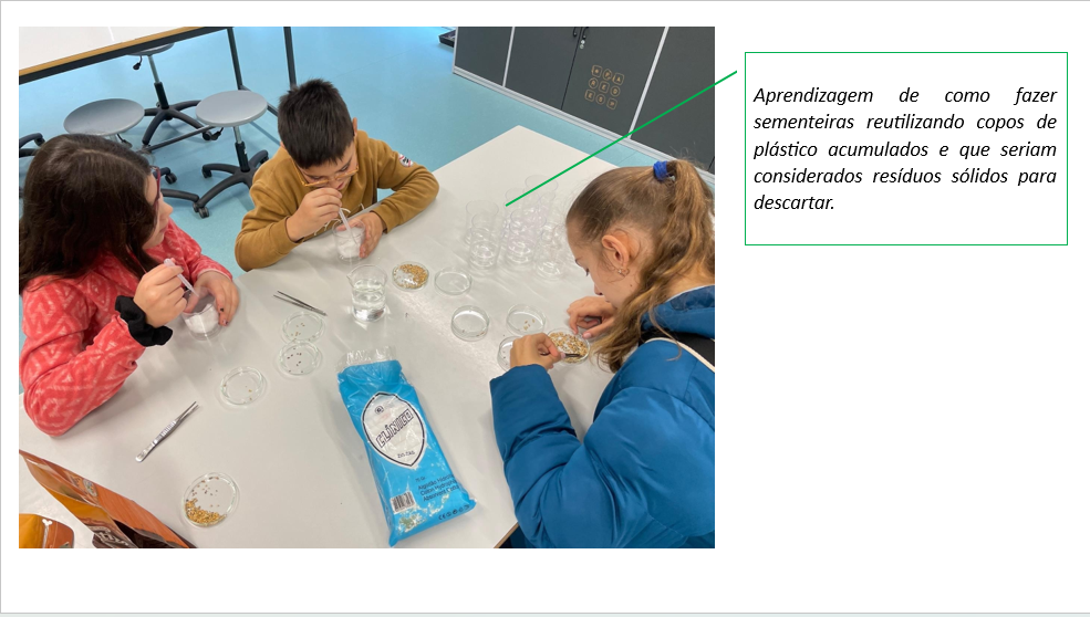 Preparação e escolha de sementes com alguns alunos do clube