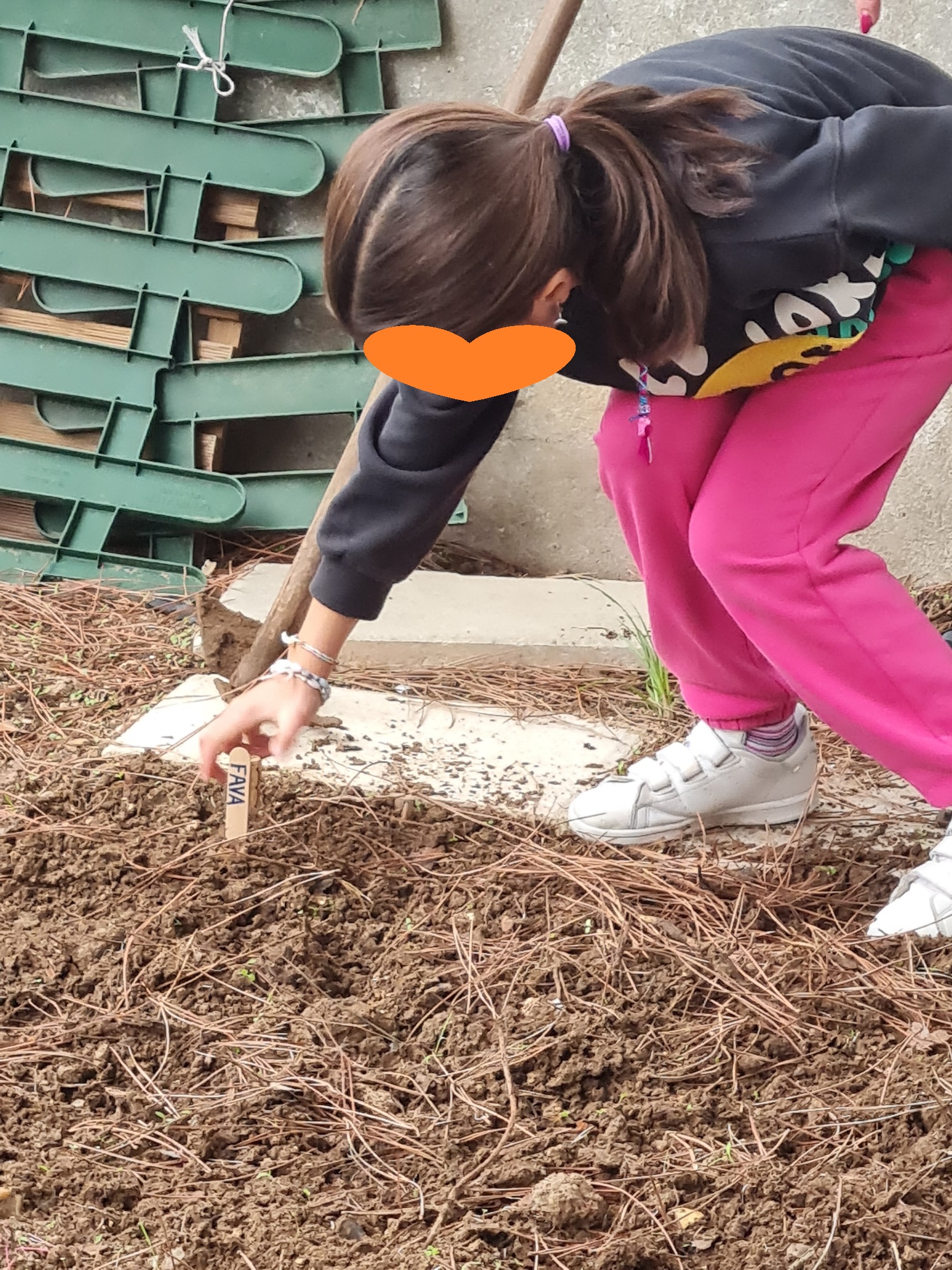 Identificação das sementes e plantas na Horta.