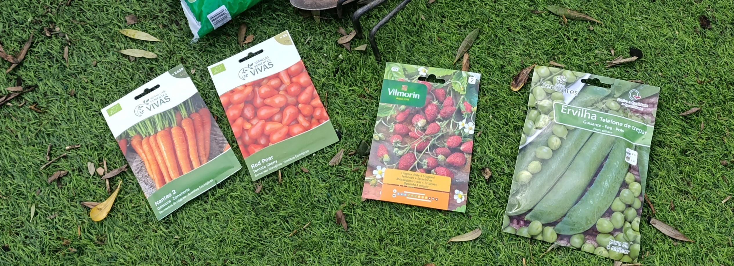 Apresentação das sementes a plantar.
Aprendizagem dos vários nomes do que vamos semear e para que servem na nossa alimentação.