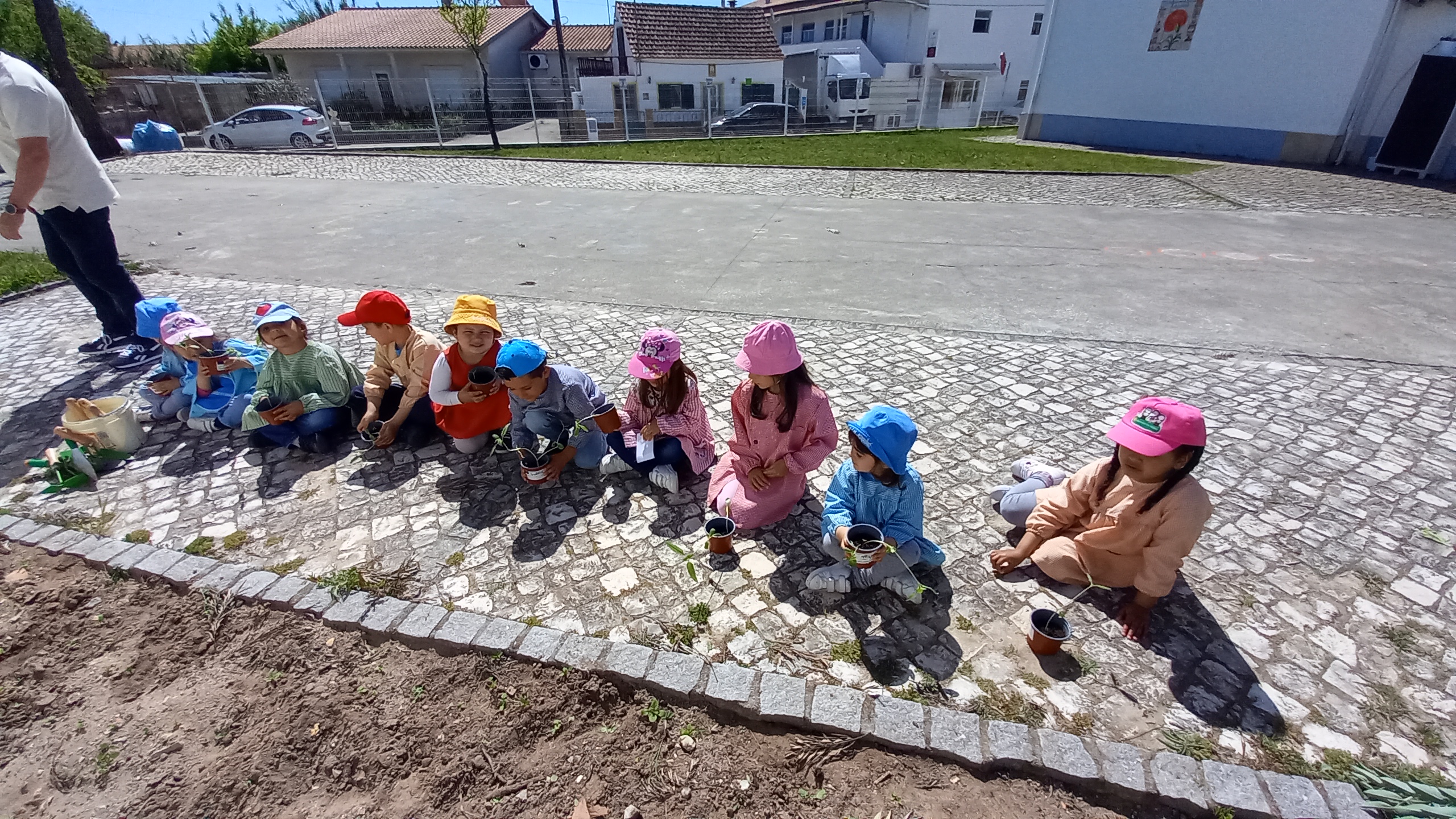 O Pré-escolar enriqueceu a Horta com girassóis.