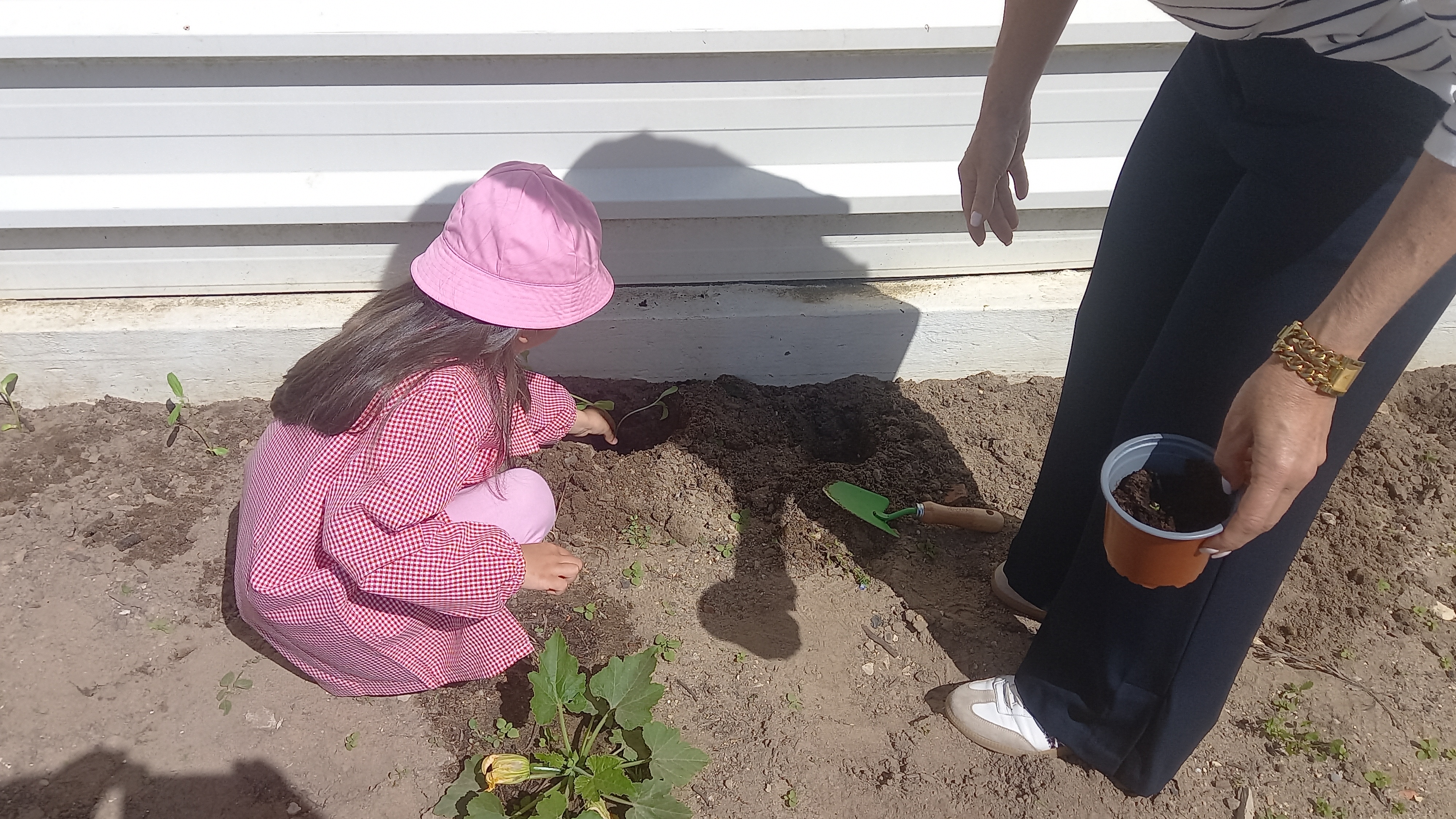 A aluna do Pré-escolar a colocar o girassol na Terra.