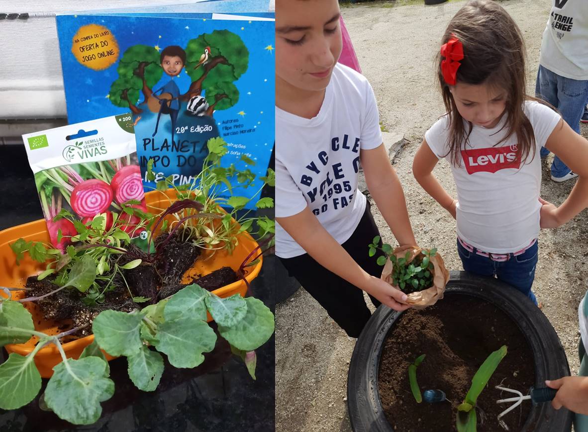 Plantas  Aromáticas trazidas do Evento "Bandeira Verde  2023".