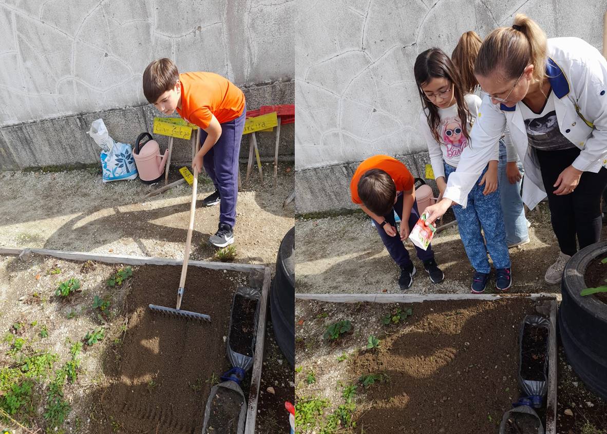 Primeiras plantações na "Nossa Hortinha - Eco-Escolas 24/25".