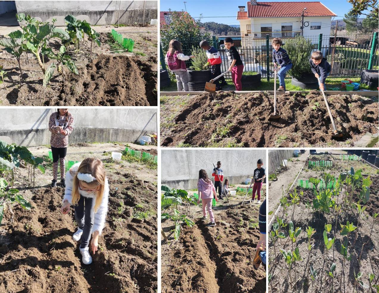 O mau tempo, assim o impõe: Renovar da terra para novos canteiros.