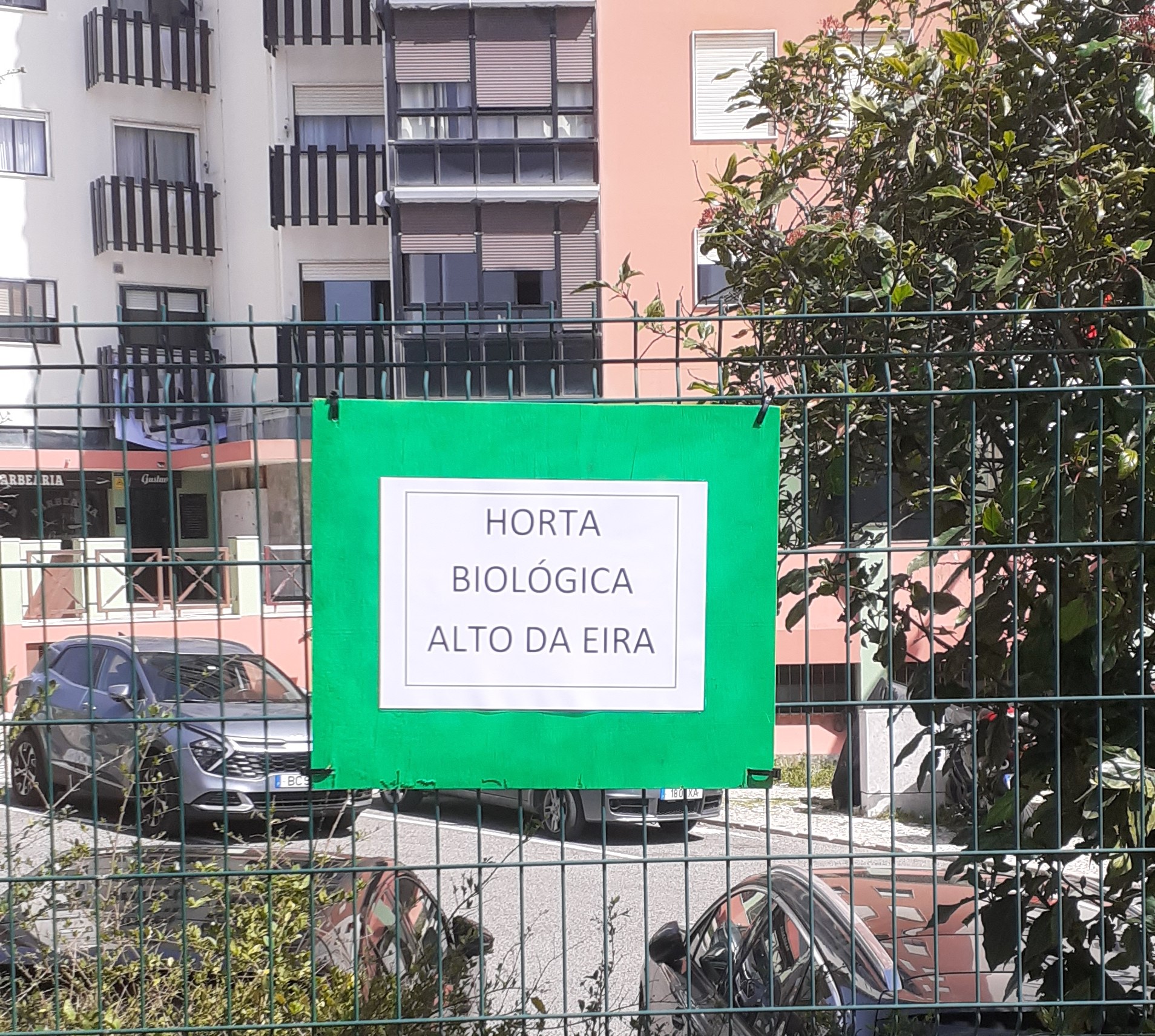 Identificação da Horta Biológica