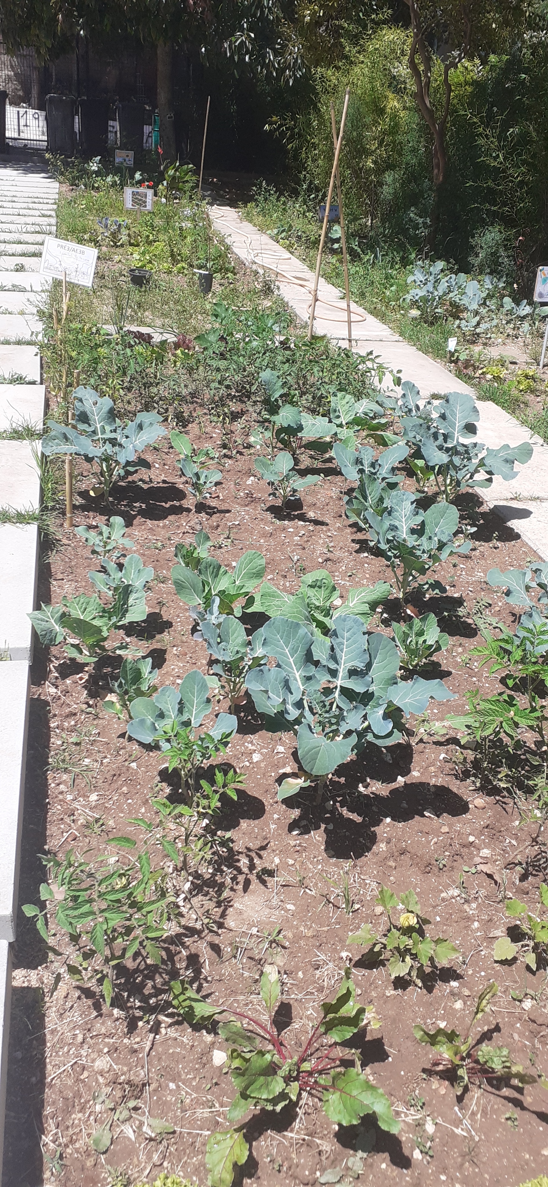 Horta da Pré 3 e AE3B