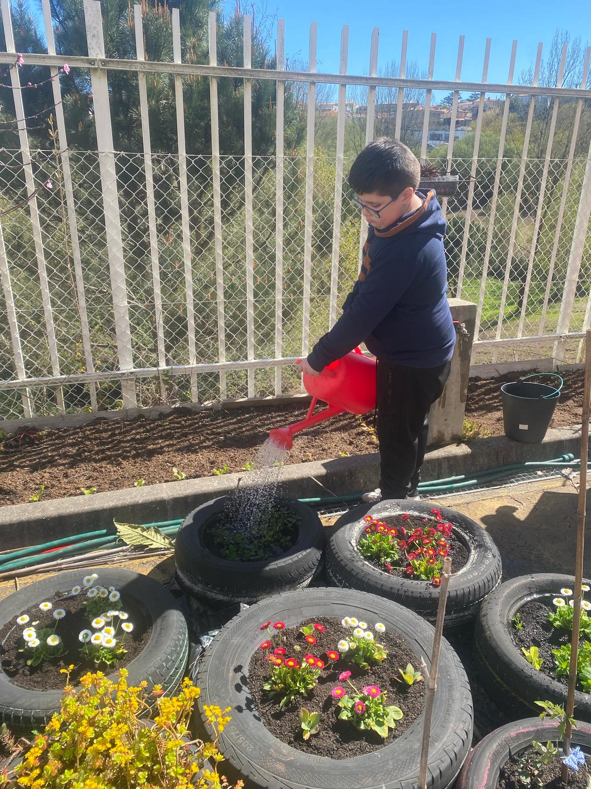 Canteiro das plantas aromáticas - zona dos alunos da Educação Especial