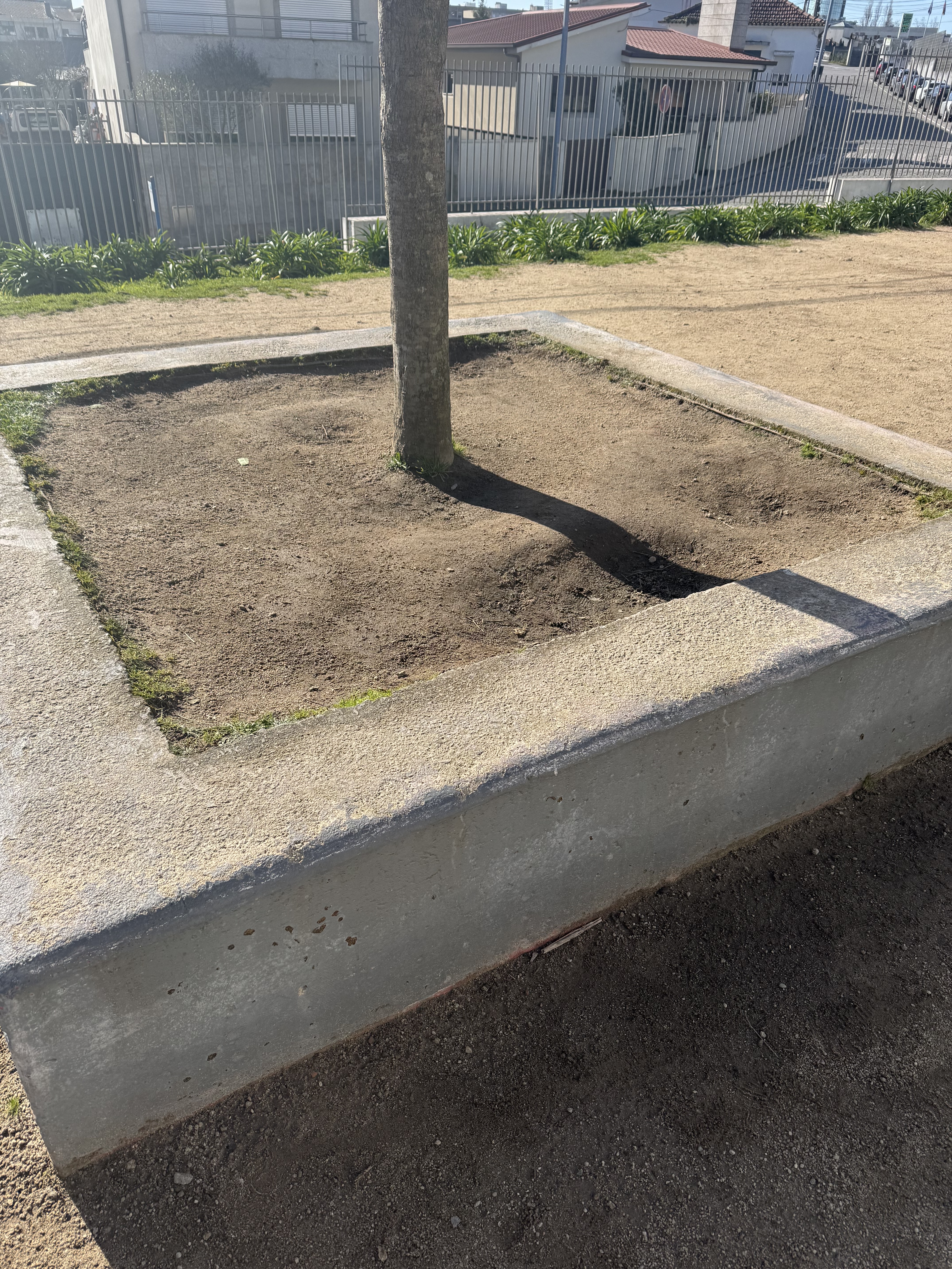 Terreno/Local escolhido para a plantação ou semeação de leguminosas e ervas aromáticas