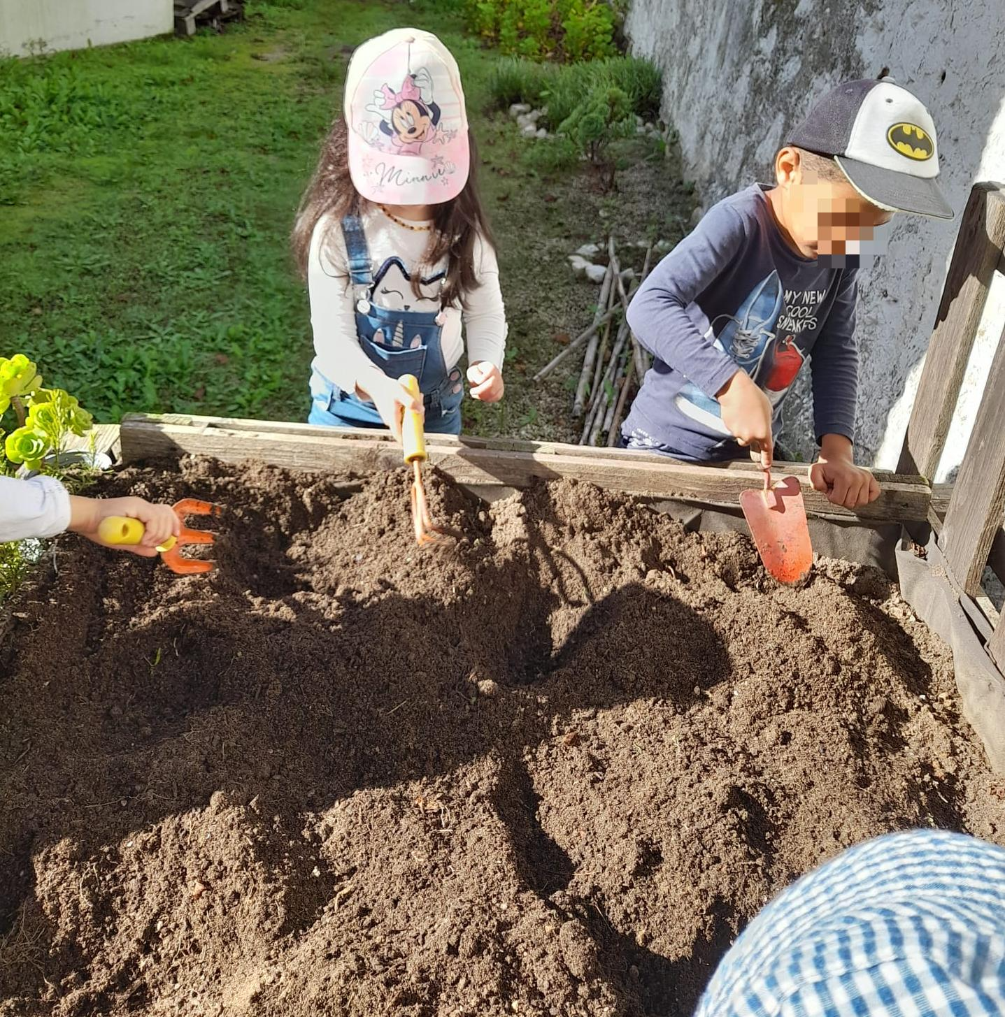 Preparação da terra da horta - outubro