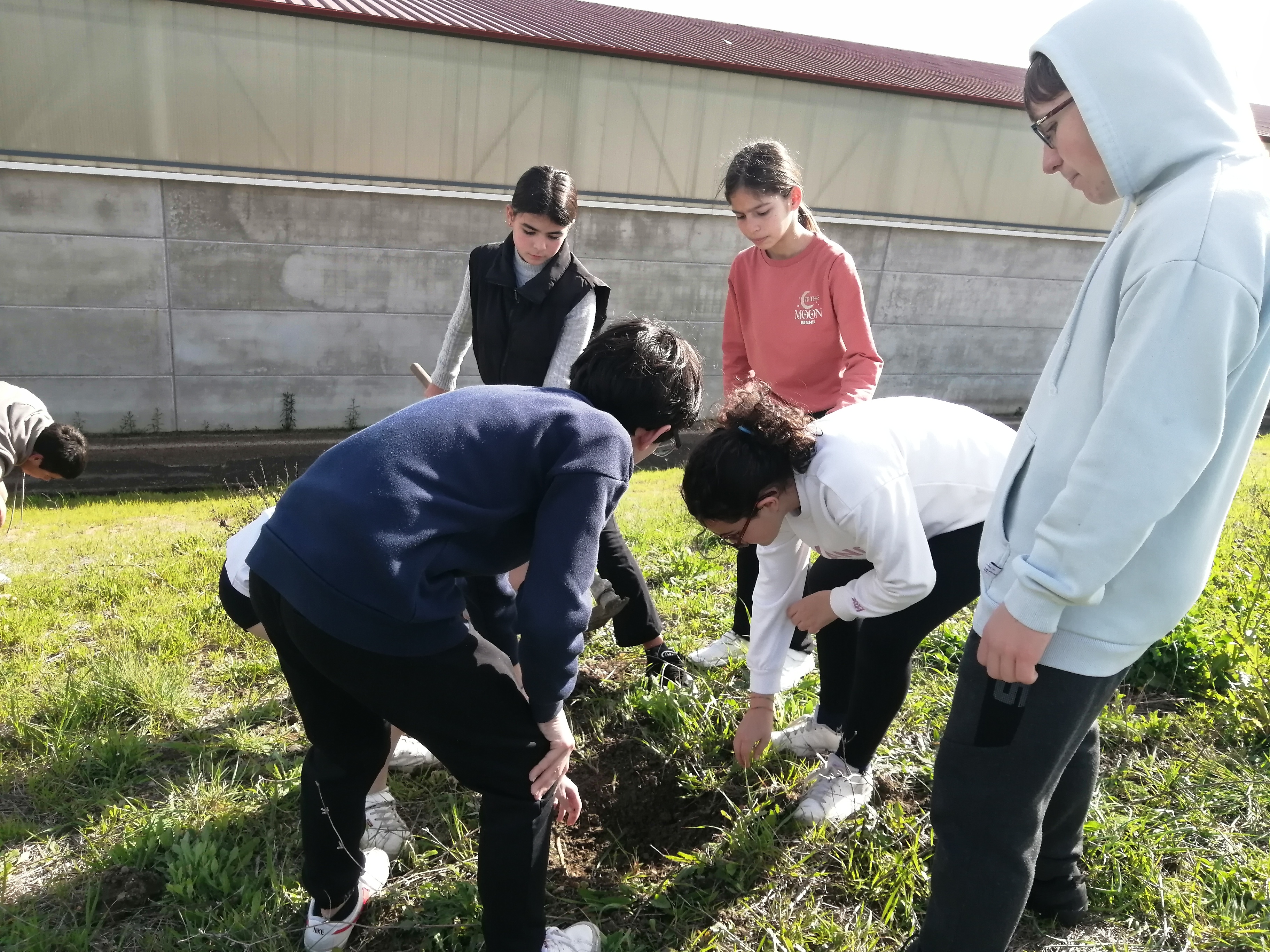 Preparação do terreno pelos alunos para posteriormente plantar-se alfaces, pimentos, tomateiros...