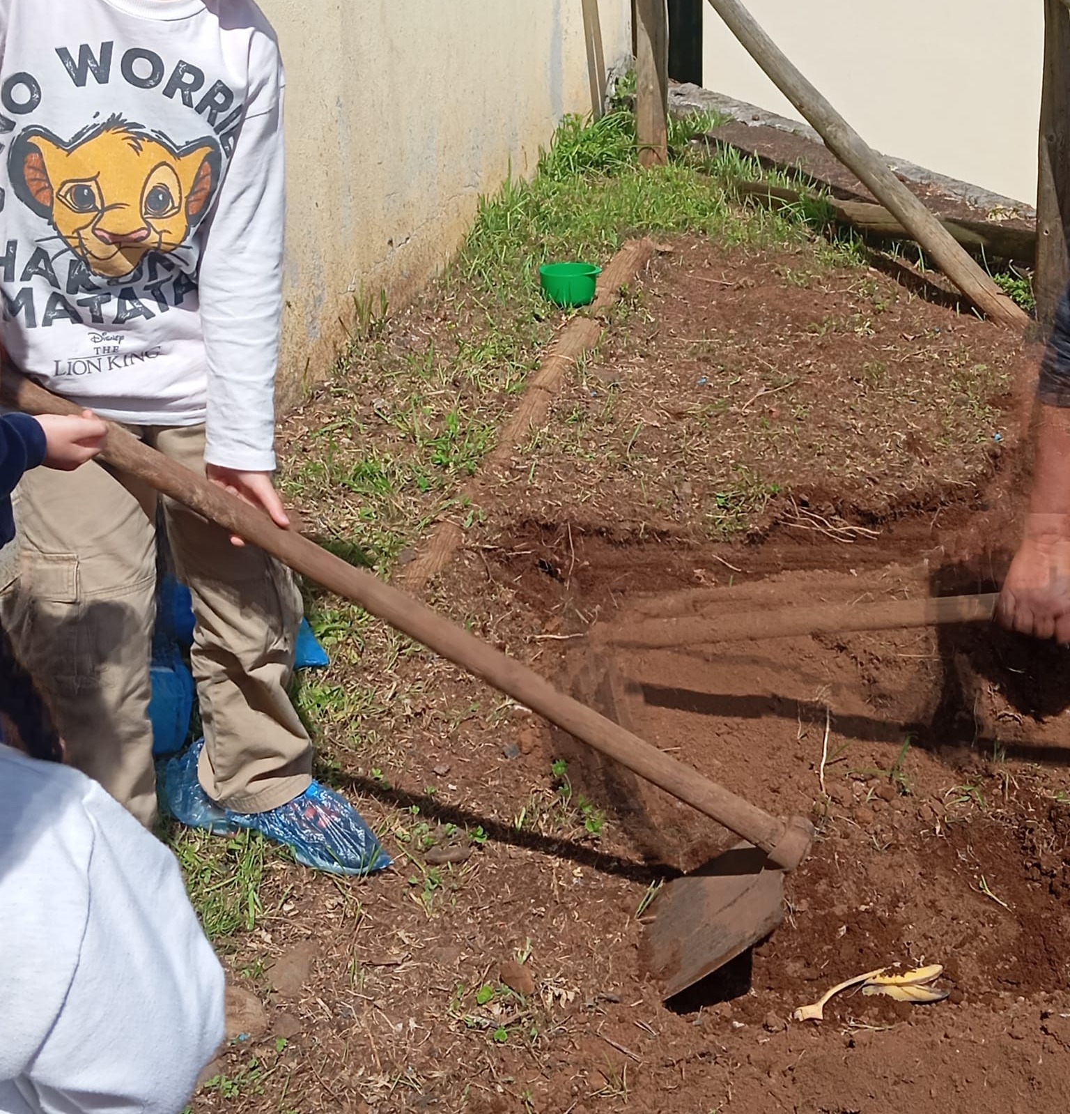 Lavrar a terra - As crianças da Pré dos 5 anos tiveram a oportunidade de usar ferramentas, as enxadas, para revirar e preparar o solo para o cultivo do trigo.