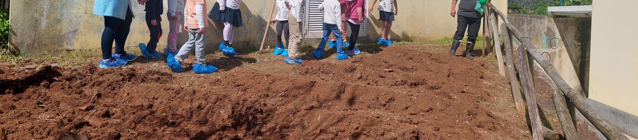 Lavrar a terra - As crianças da Pré dos 5 anos tiveram a oportunidade de usar ferramentas, as enxadas, para revirar e preparar o solo para o cultivo do trigo.