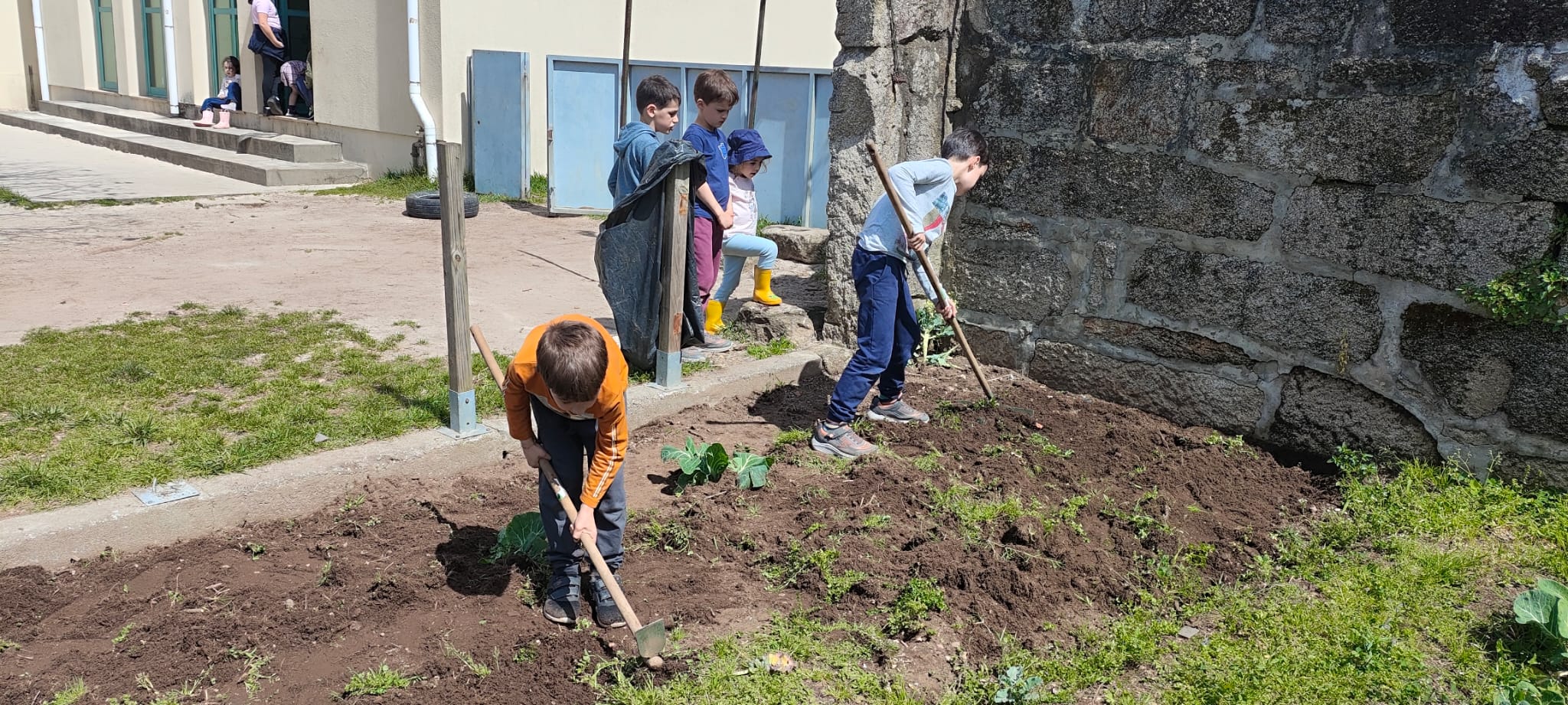 Alunos a trabalhar a terra.