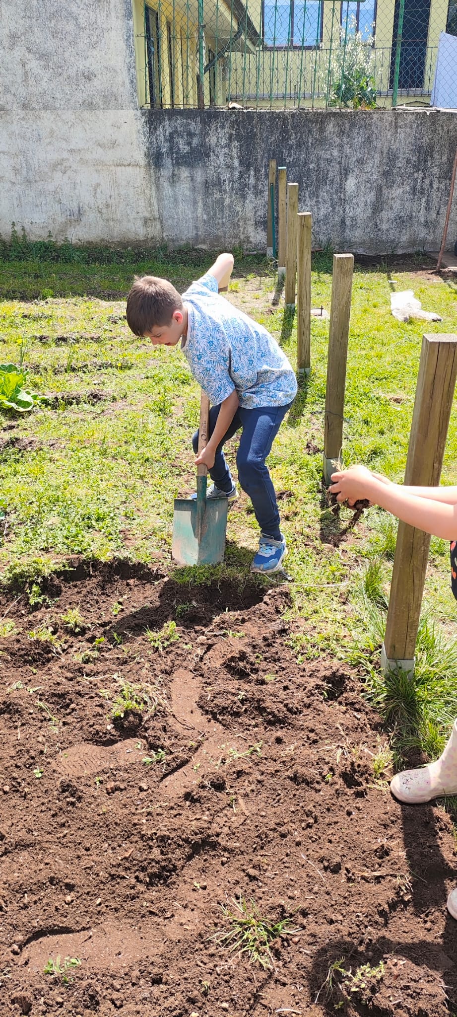 Lavrada a terra, decidimos criar uma vedação com paletes e dividir a horta em pequenos canteiros com diferentes vegetais e árvores de frutas.