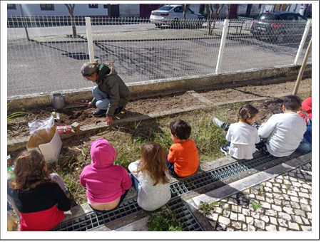 Ainda em março começámos a semear.