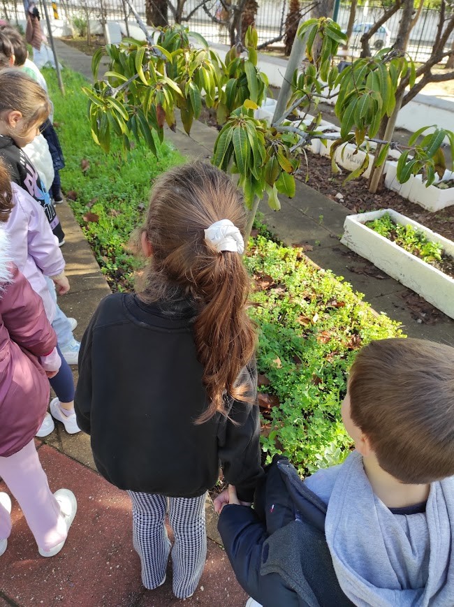 Os alunos da Sala Laranja do JI da E.B D.Manuel I, Tavira, foram conhecer o espaço onde vão desenvolver a sua horta. Também puderam identificar as espécies de plantas já existentes.