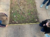 Todas as idas à Horta são momentos de exploração, aprendizagem e consolidação de conhecimentos em todas as áreas das OCEPE.