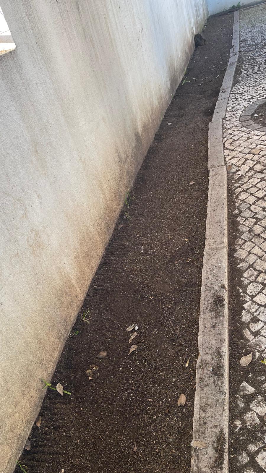 A Horta foi preparada pelos trabalhadores da junta de freguesia. As crianças assistiram a preparação da horta.