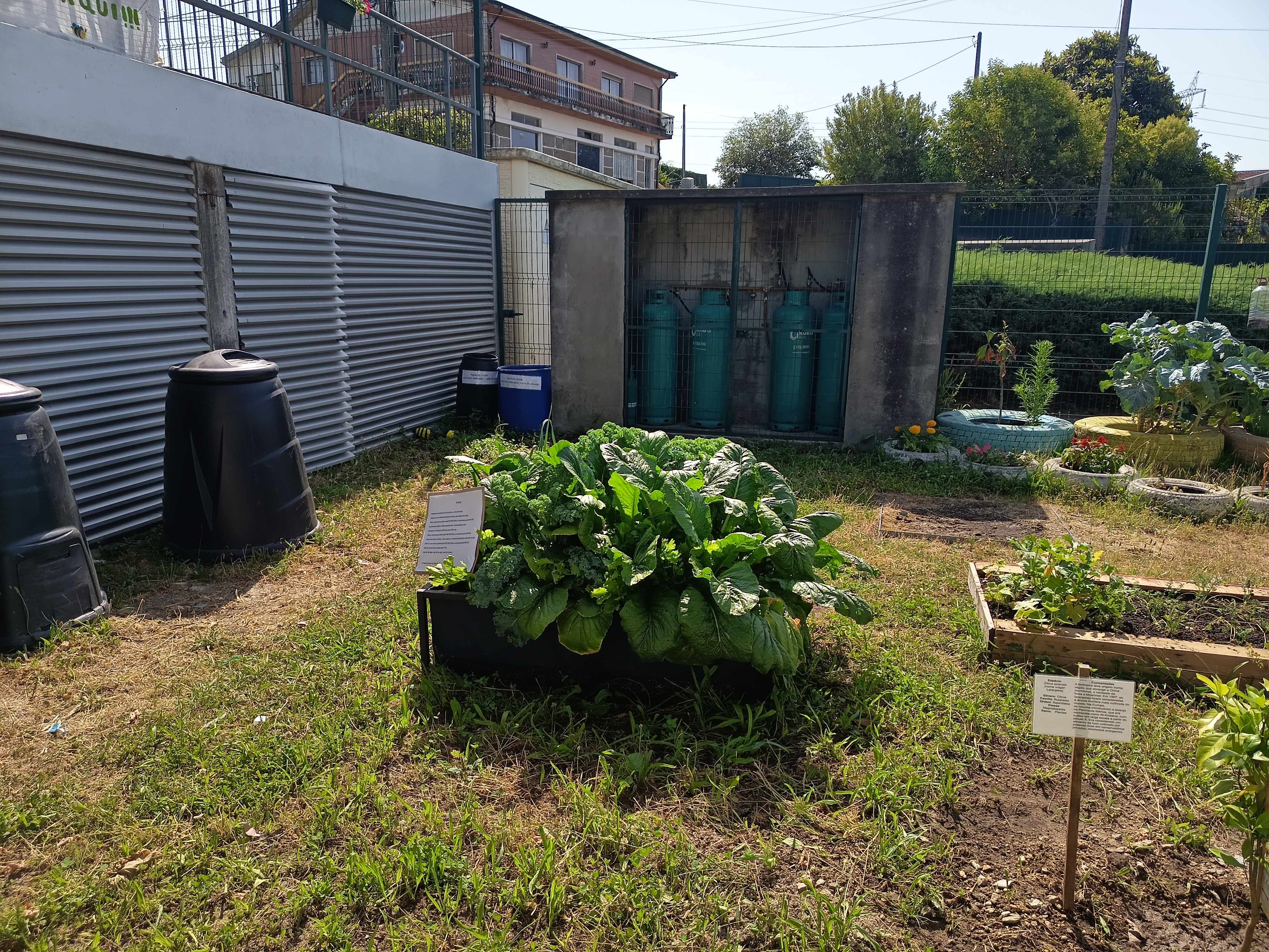 Bio Horta inicio do mês