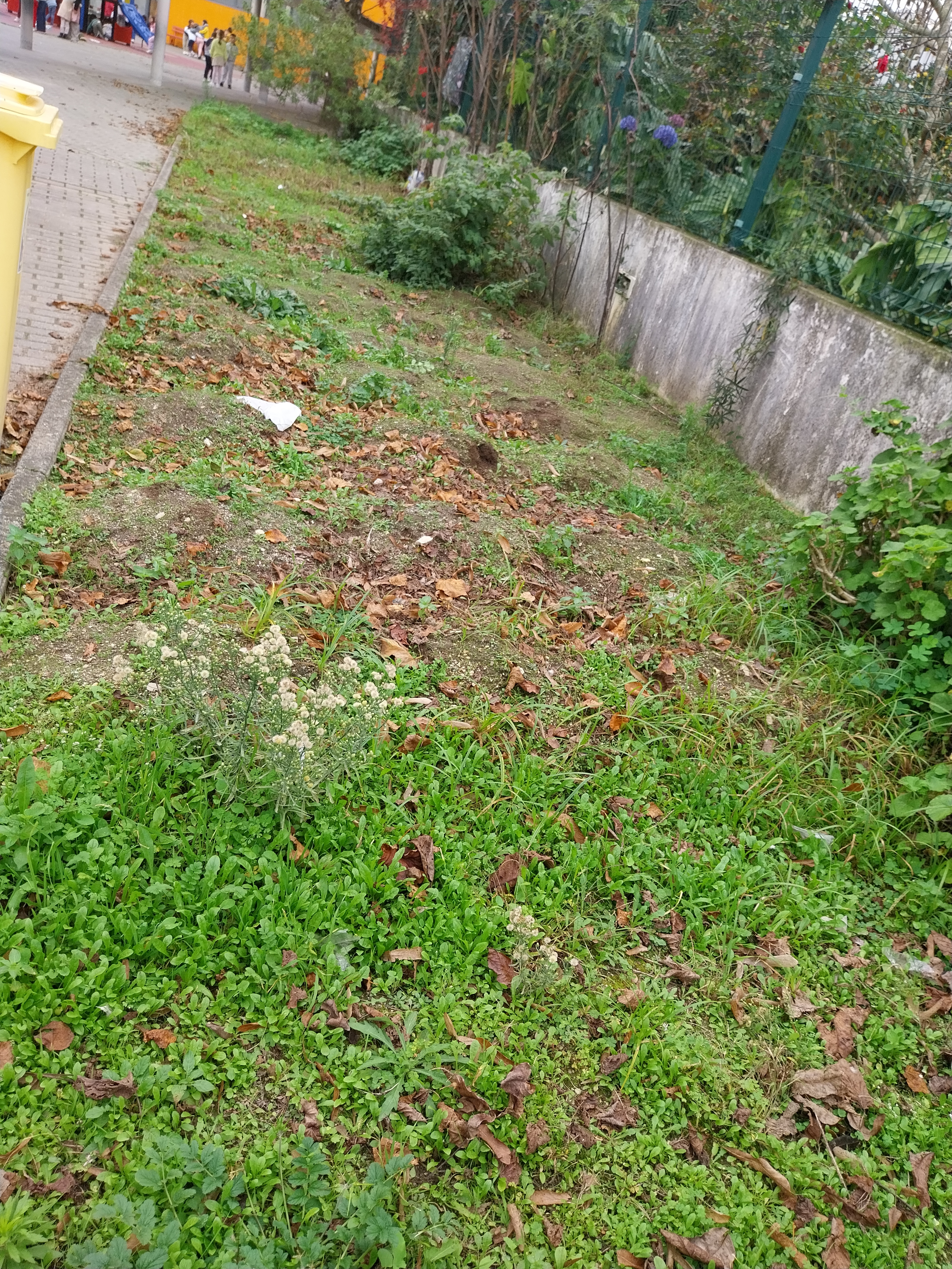Espaço para o cultivo de algumas espécies ao cuidado das turmas. Este espaço será preparado e dividido em 5 frações para cada ano de escolaridade cuidar,  inclusive o pré-escolar.