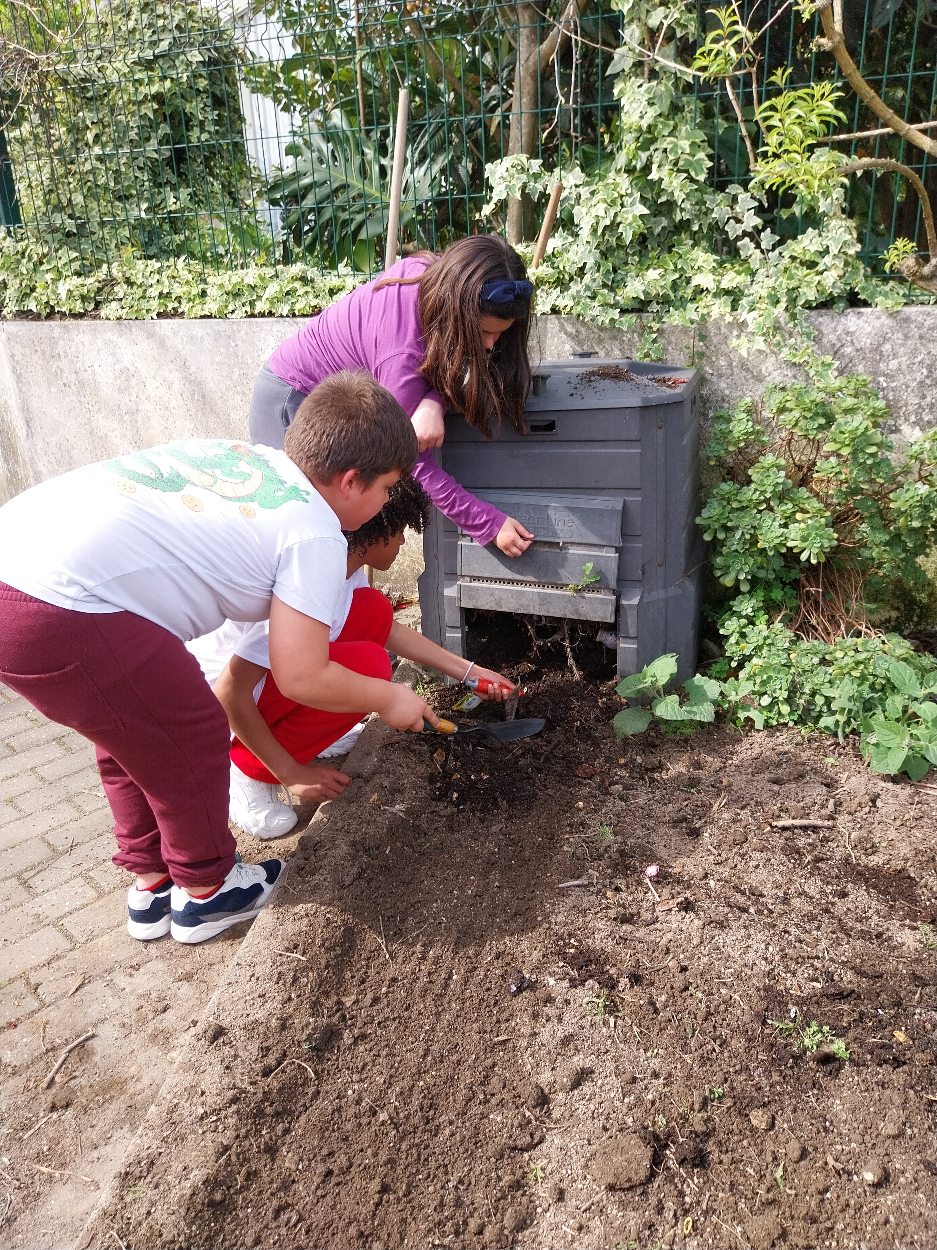Abertura da gaveta do compostor para recolher o húmus.
