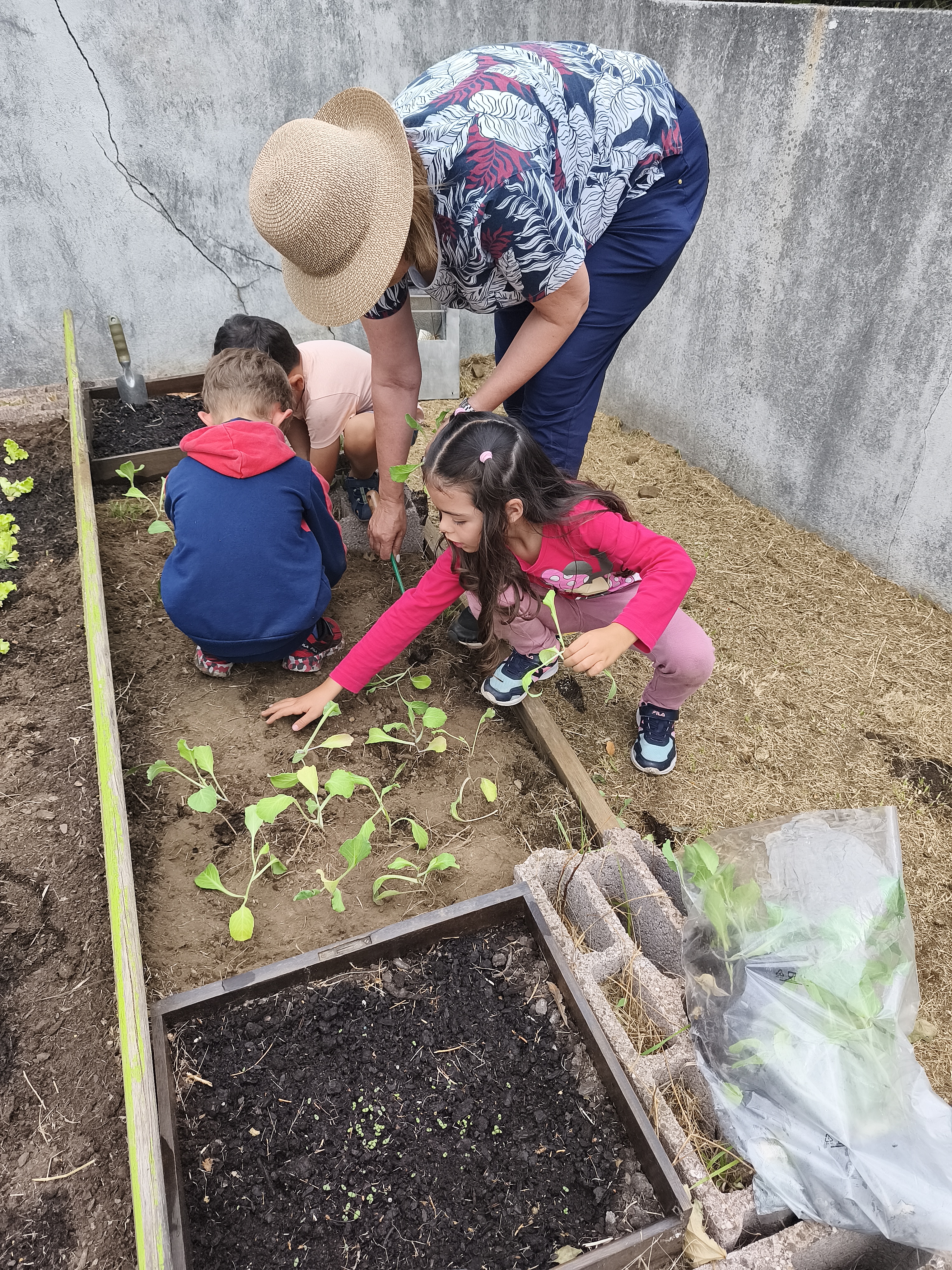 "Mãos na Terra, Corações na Natureza"