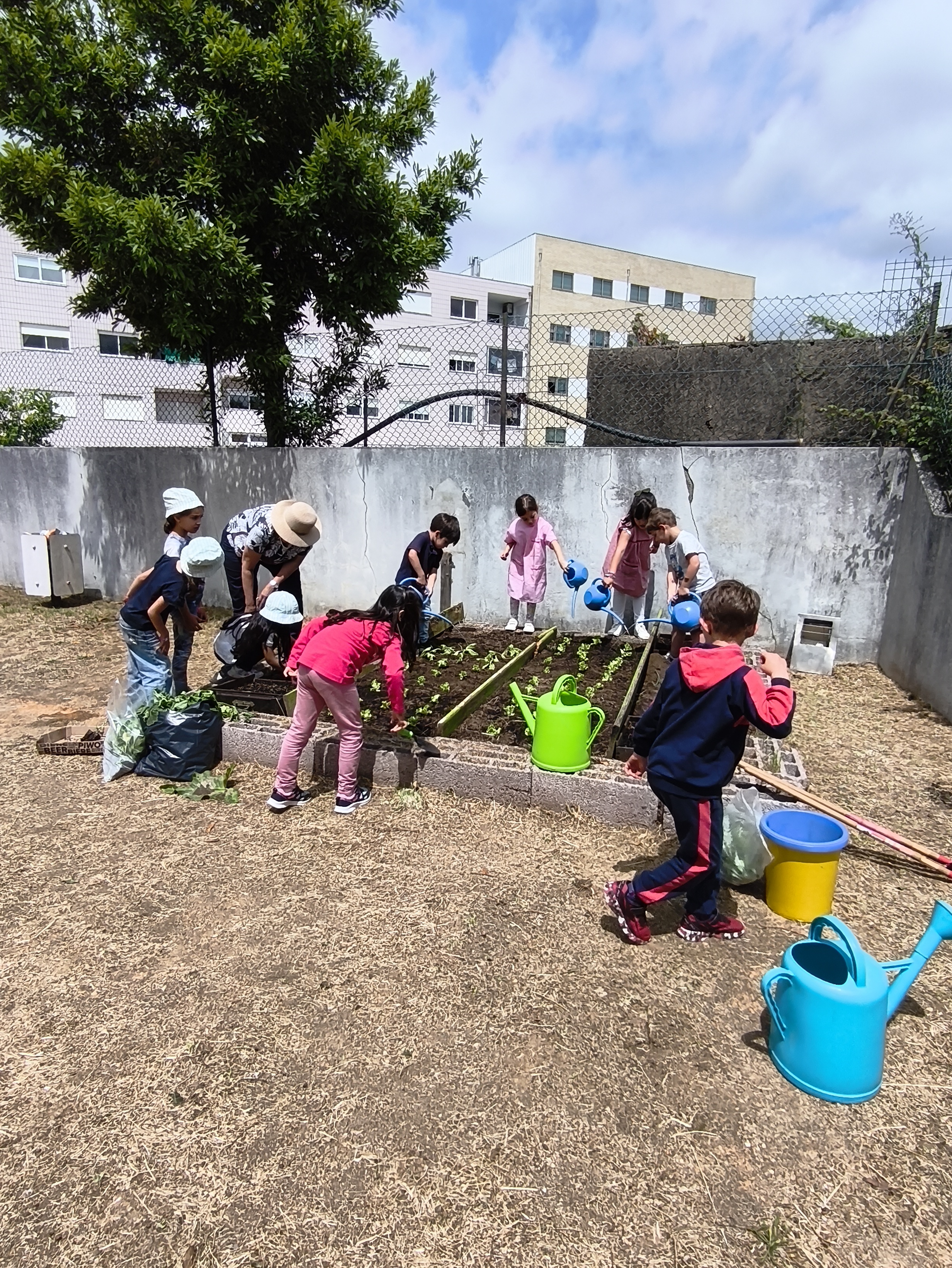 "A Horta Deu os Seus Frutos"