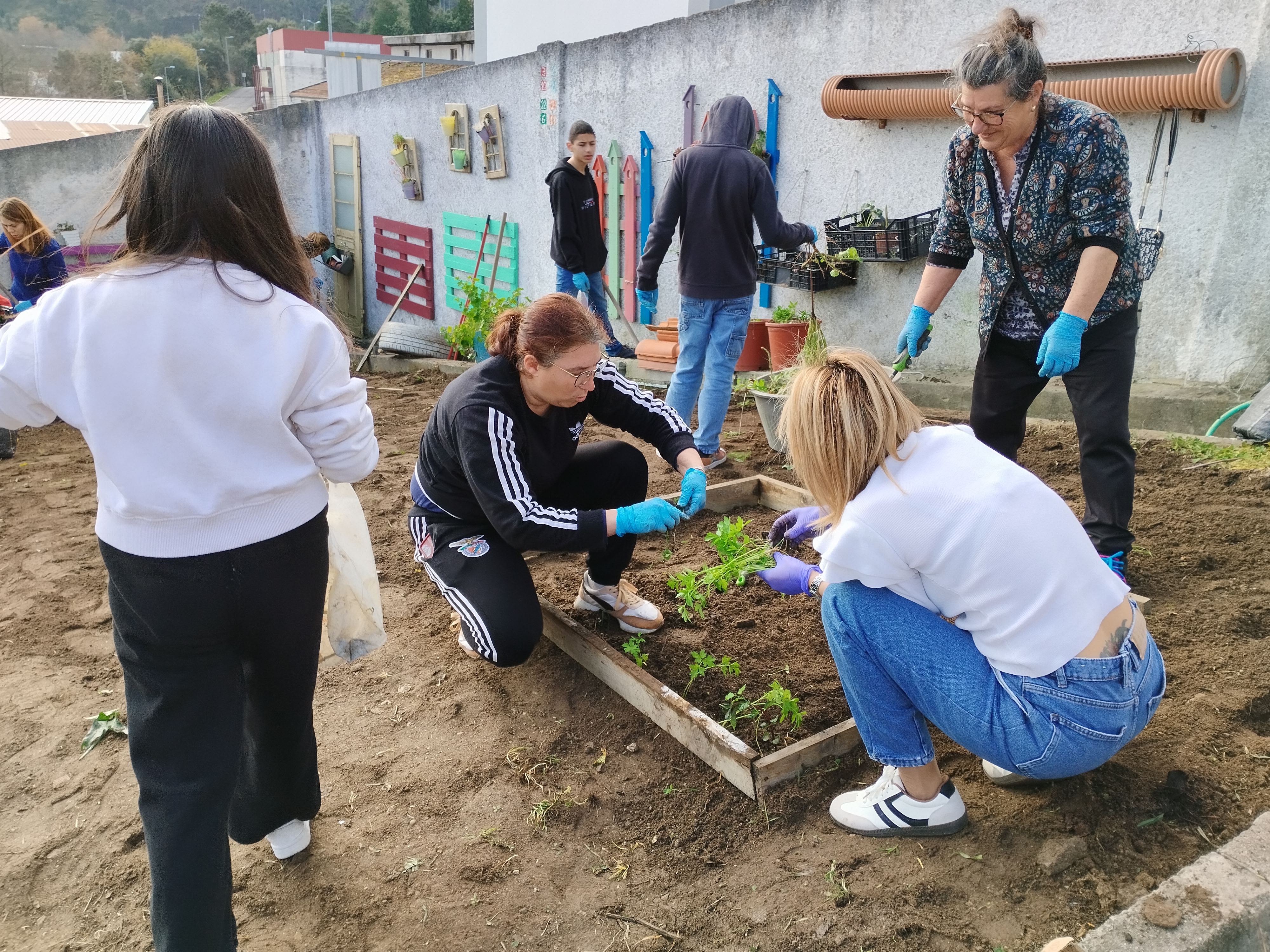 Com ajuda dos EE, em Cidadania, no âmbito do tema sustentabilidade ambiental, os alunos, professora e EE, iniciaram o plantio do talhão da sua turma.