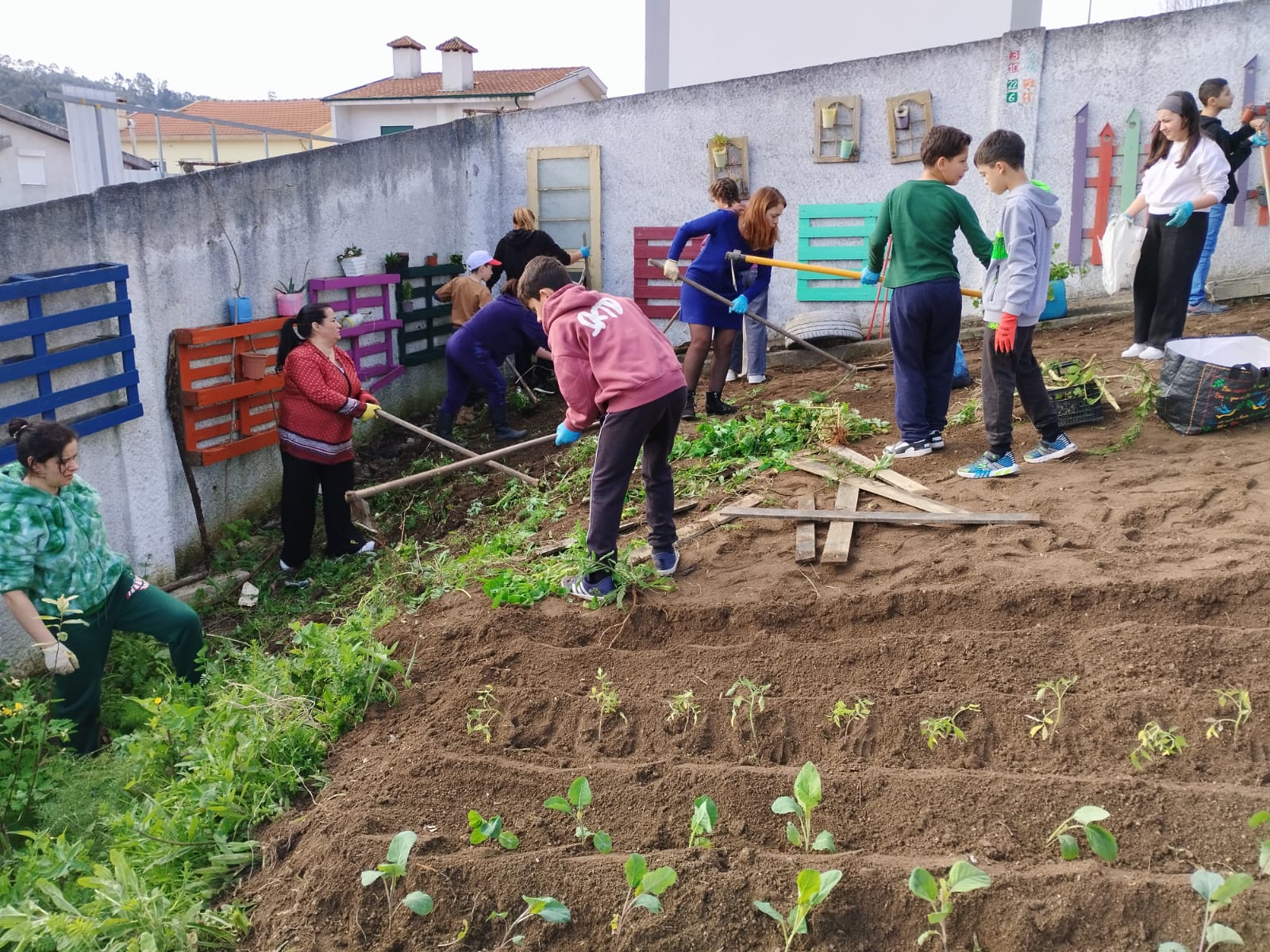 Com ajuda dos EE, em Cidadania, no âmbito do tema sustentabilidade ambiental, os alunos, professora e EE, iniciaram o plantio do talhão da sua turma.