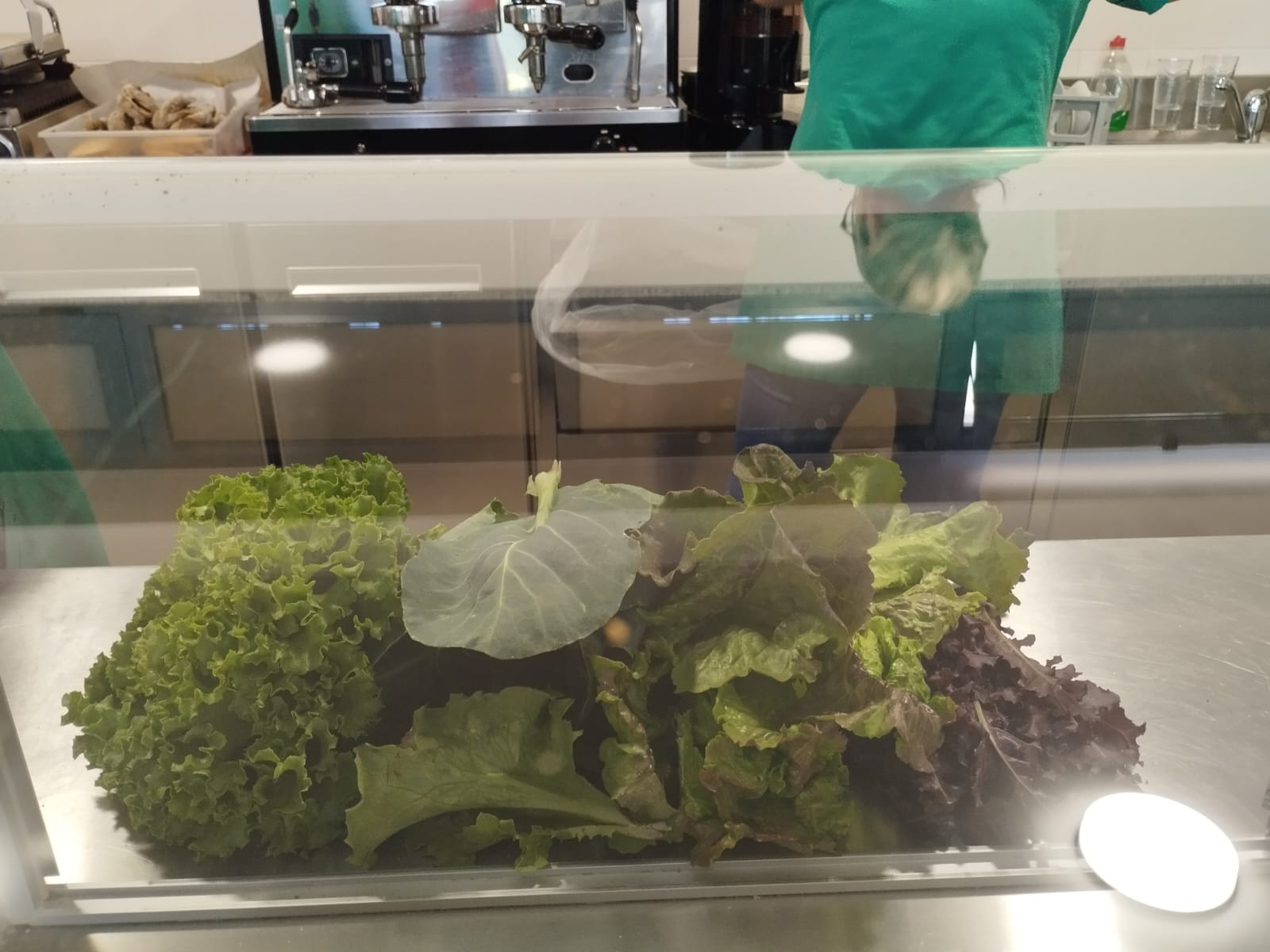 As alfaces, limões e outros vegetais colhidos nos talhões das turmas, foram usados no bar da escola para saladas, sumos e sopas. O excedente foi colocado à venda na sala de professores e funcionários.