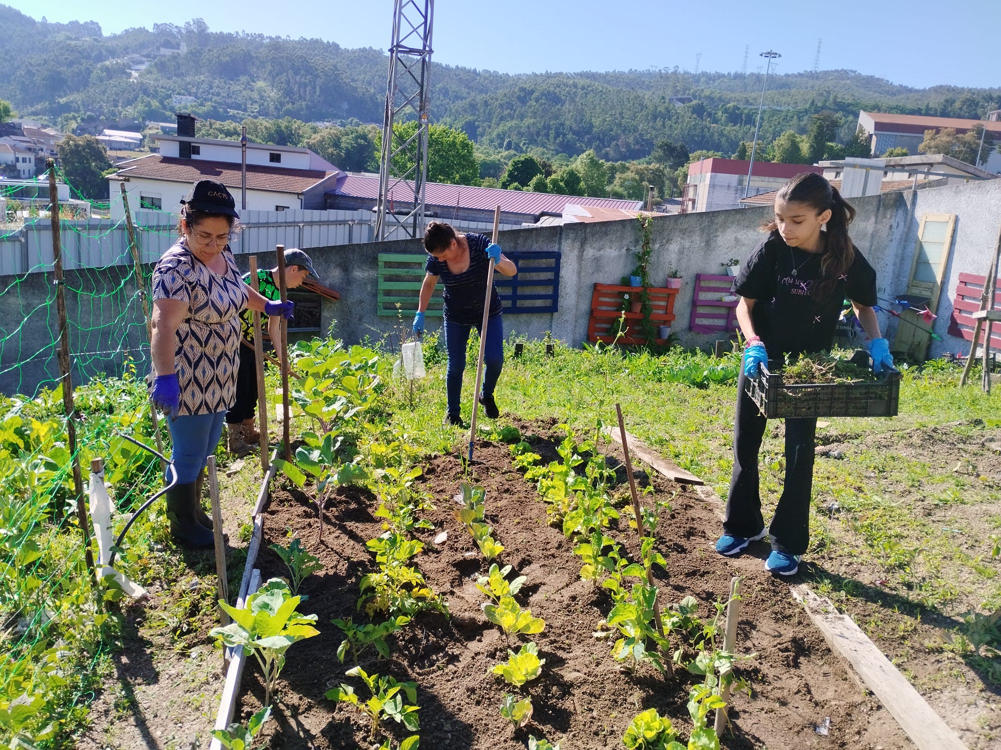 Cultivo intergeracional e familar na horta