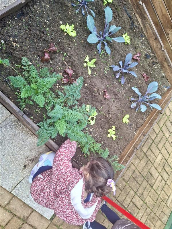 Tratar da terra para cuidar das plantações