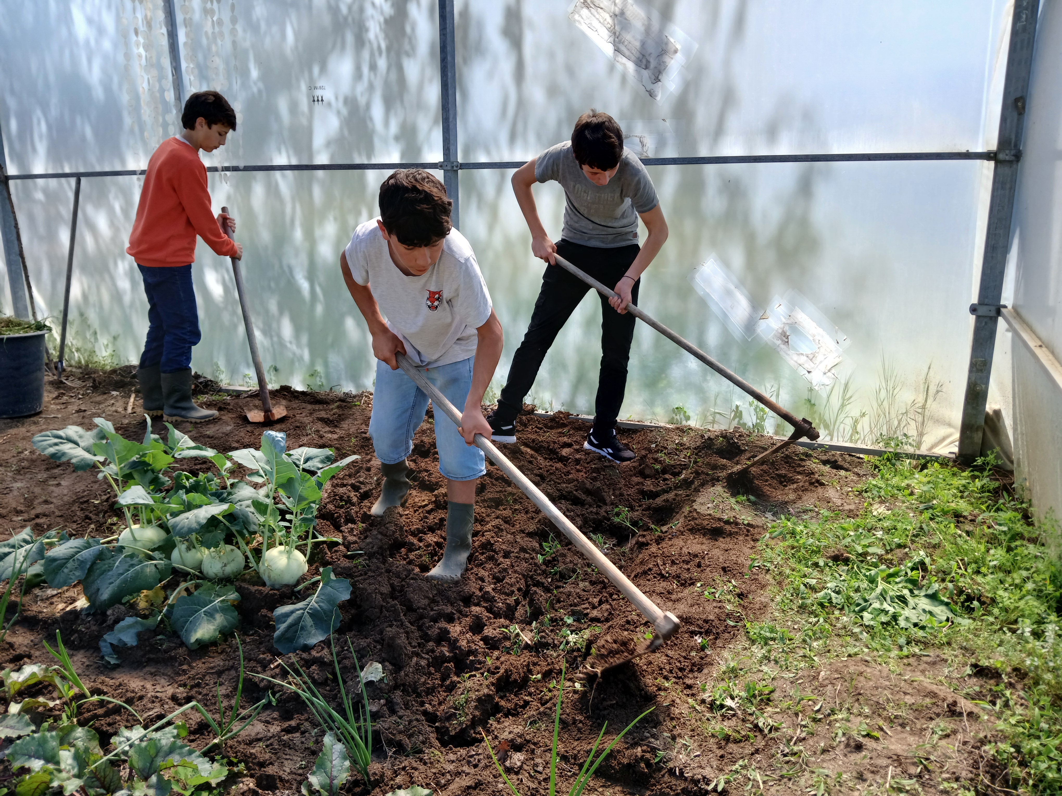Trabalho árduo e dedicado dos nossos meninos