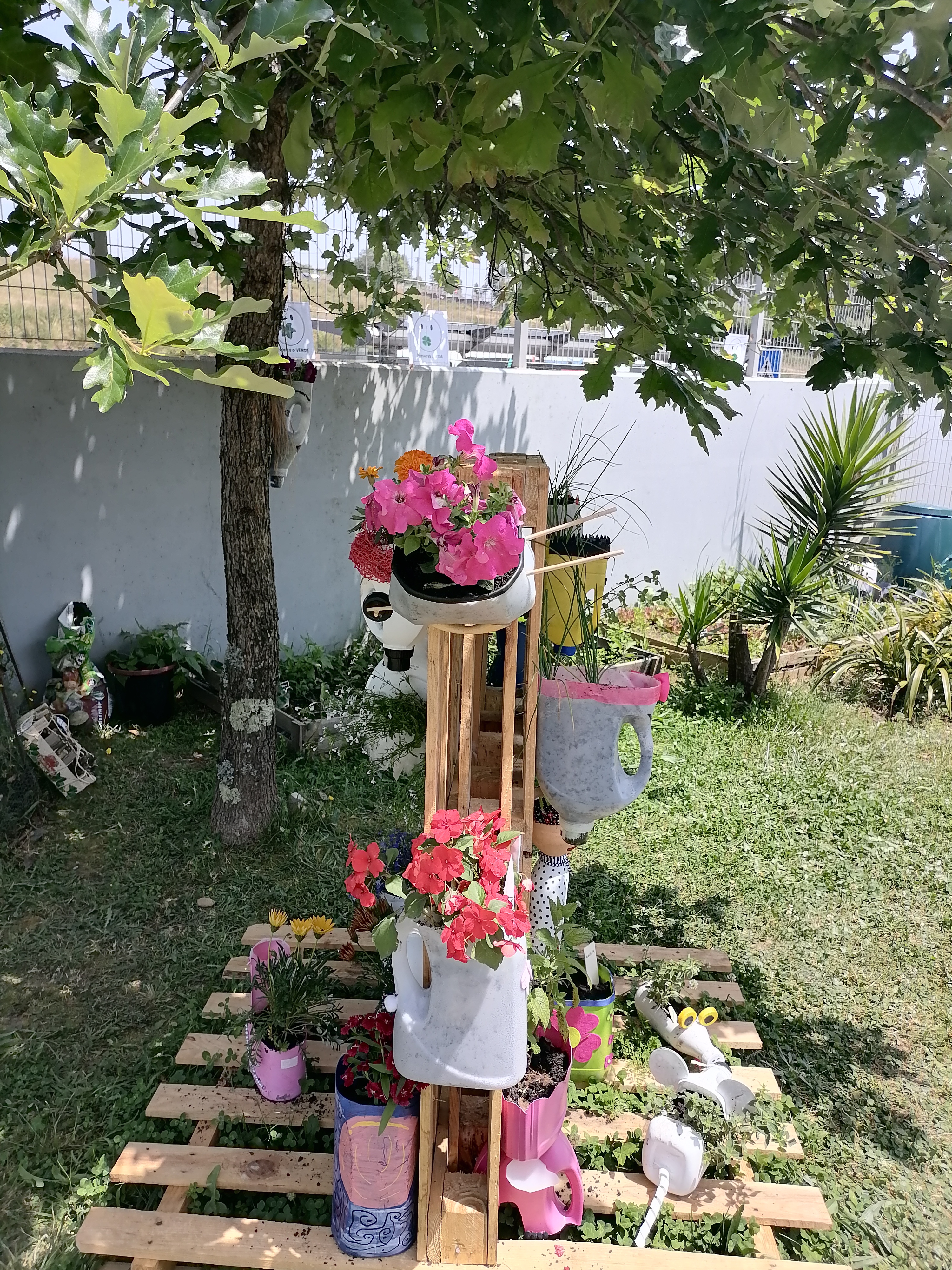 Cantinho das plantas aromáticas e das plantas floridas para atrair os insetos polinizadores.