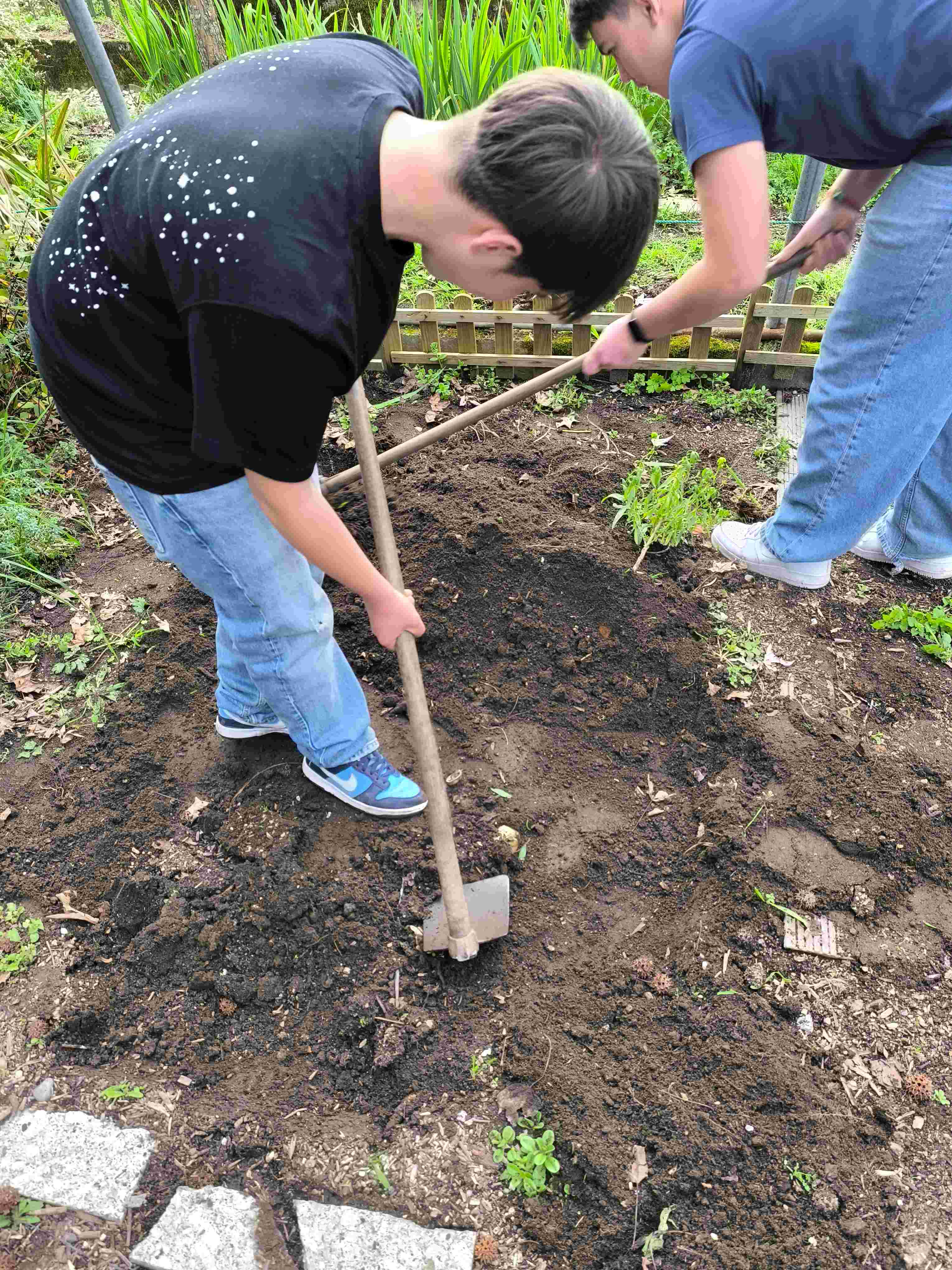 Preparação do terreno.