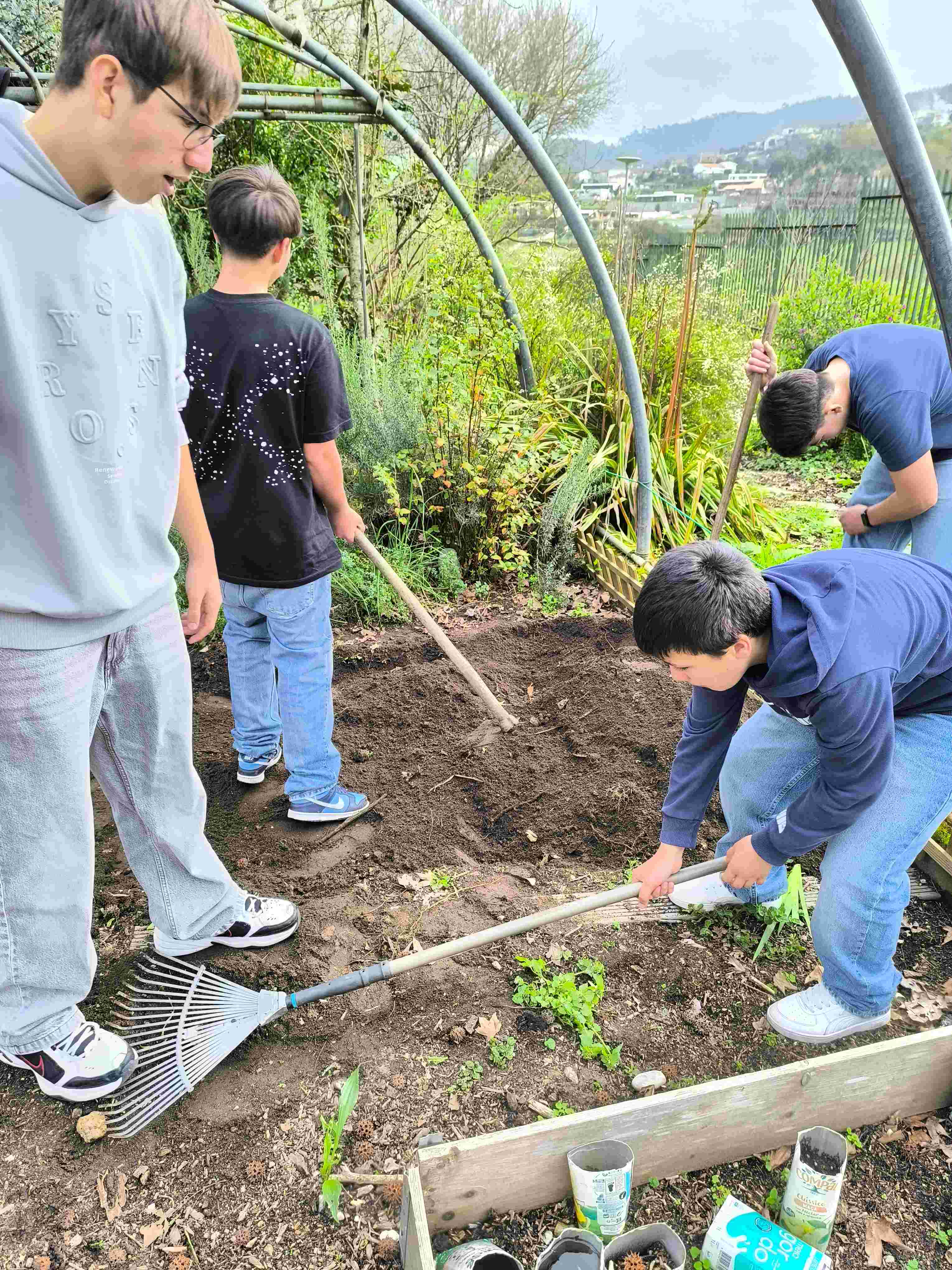 Preparação do terreno.