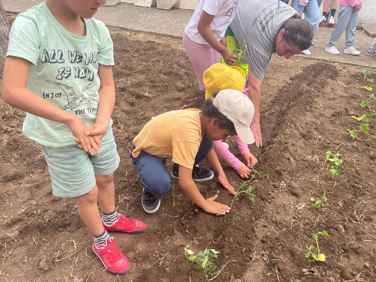 Plantação com a participação dos alunos.